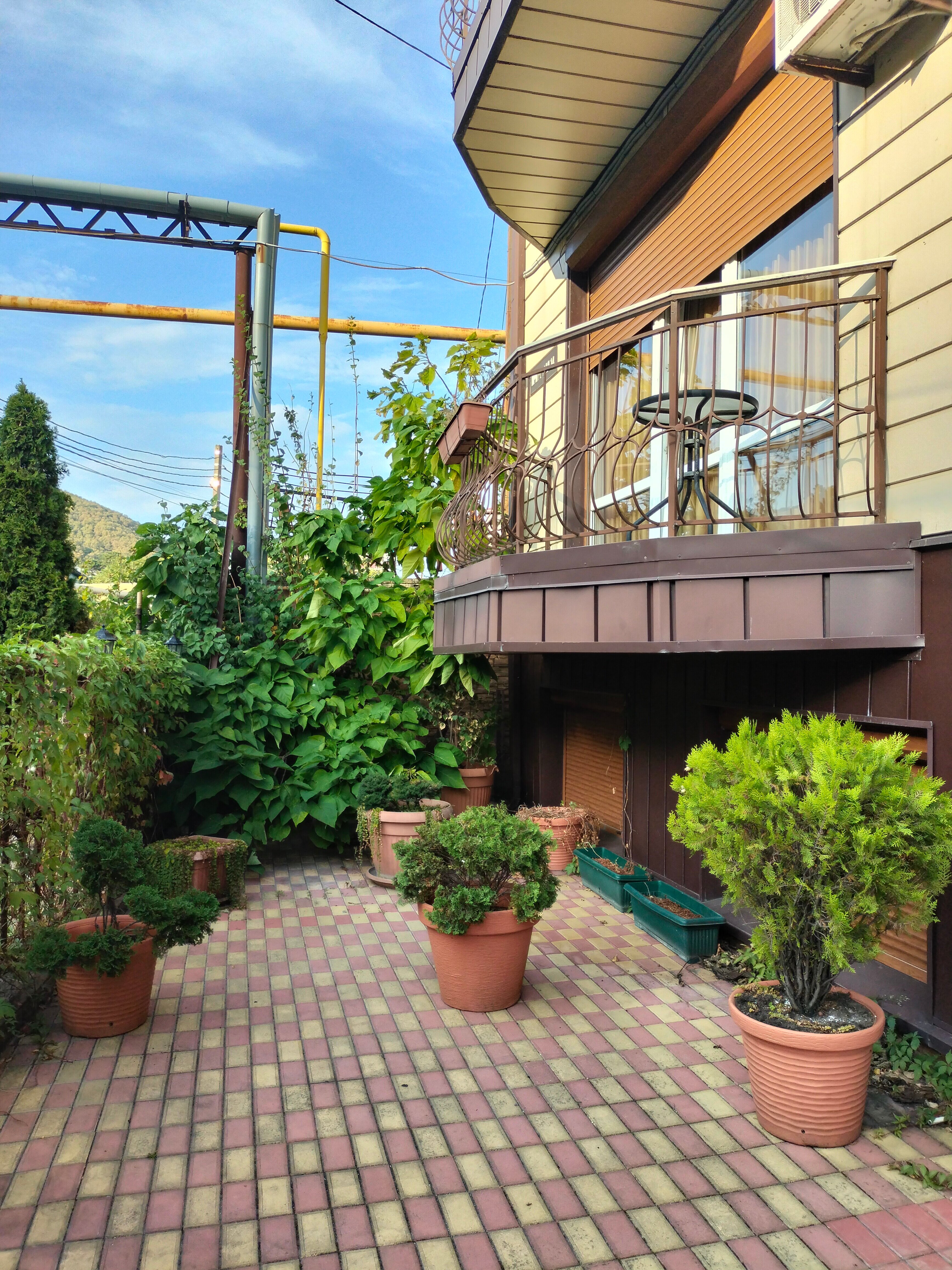 Фото Астория