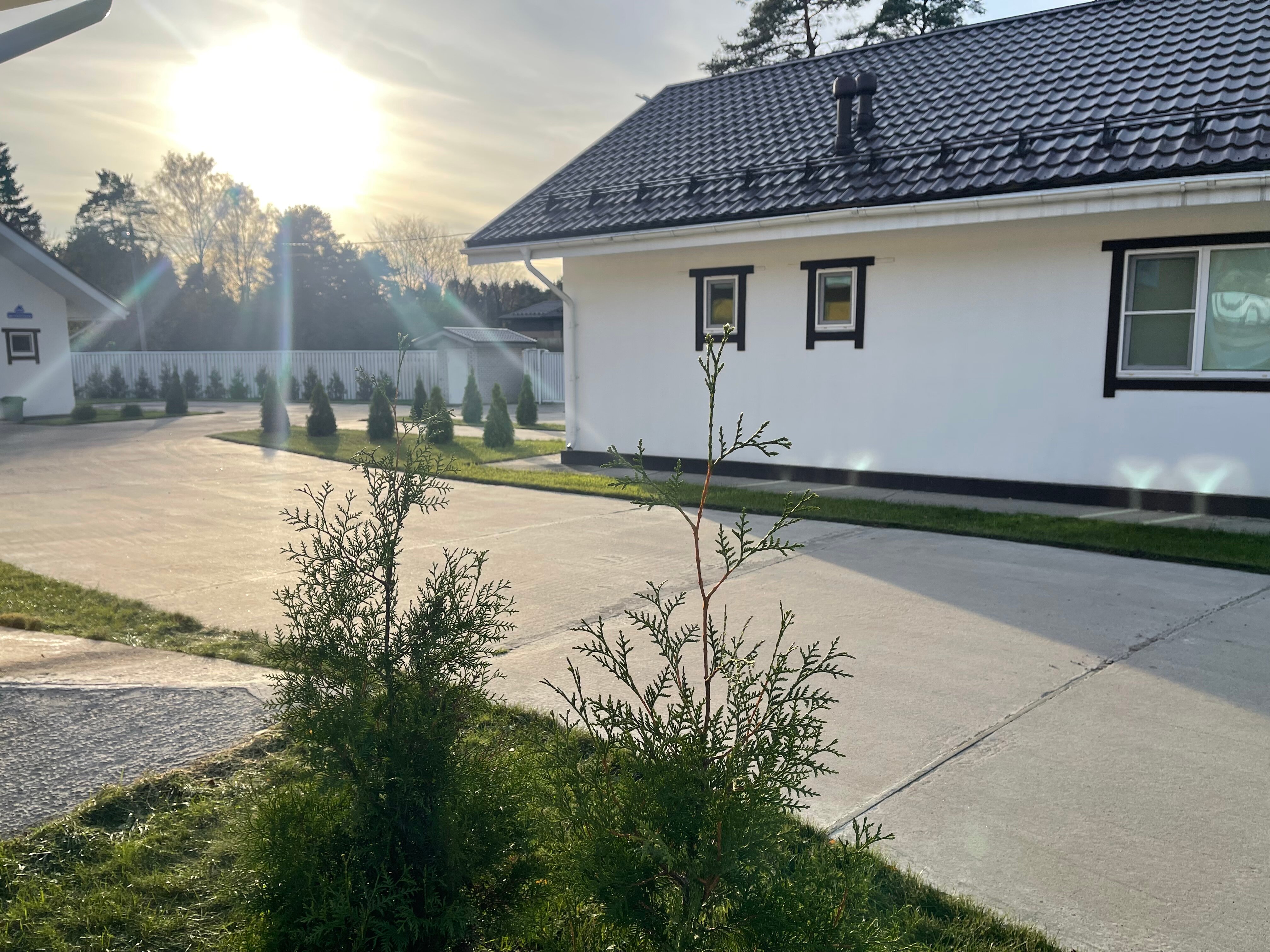 Фото Ильинская