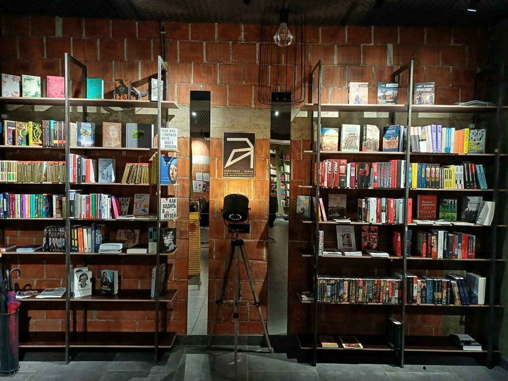 Bar, pub Auditoria Budva, Earth, photo