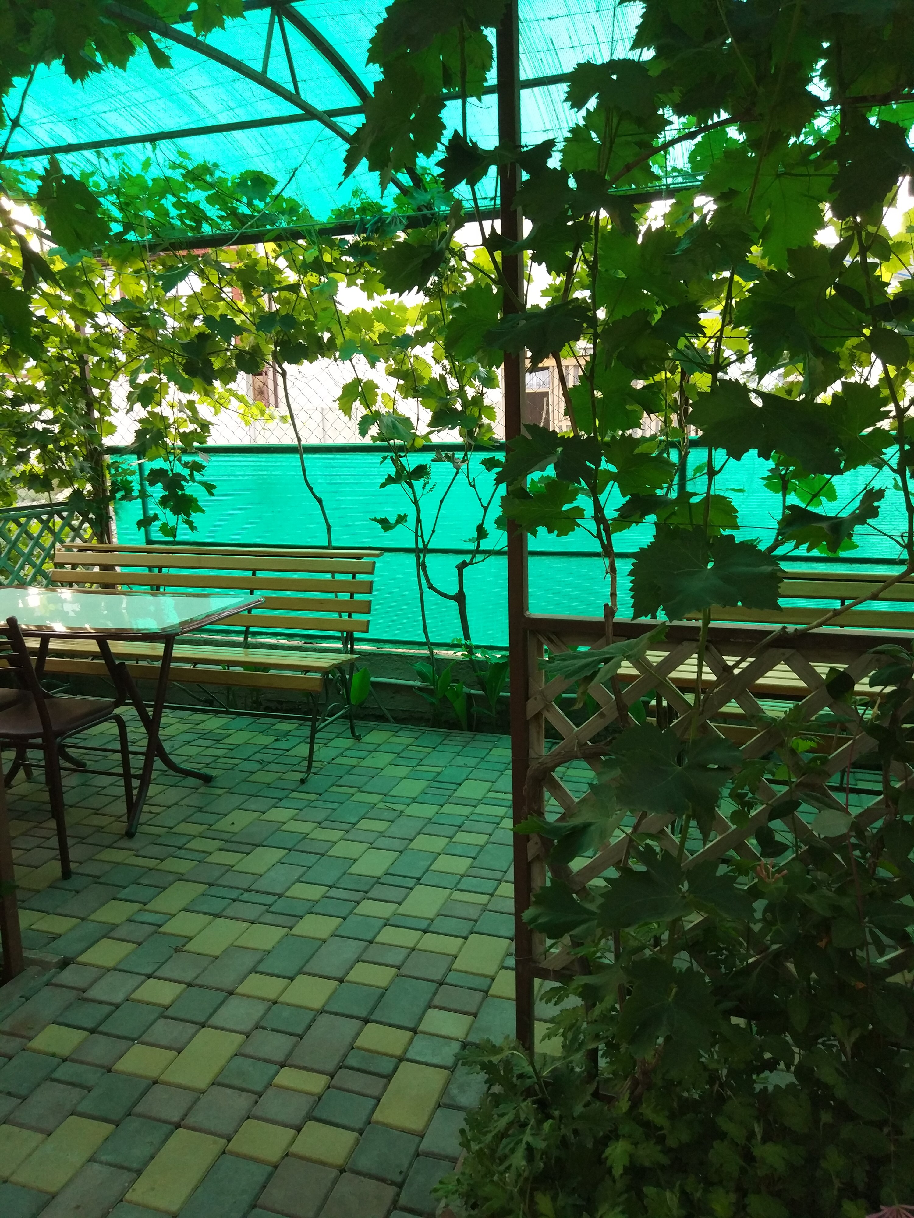 Фото Ассоль Судак