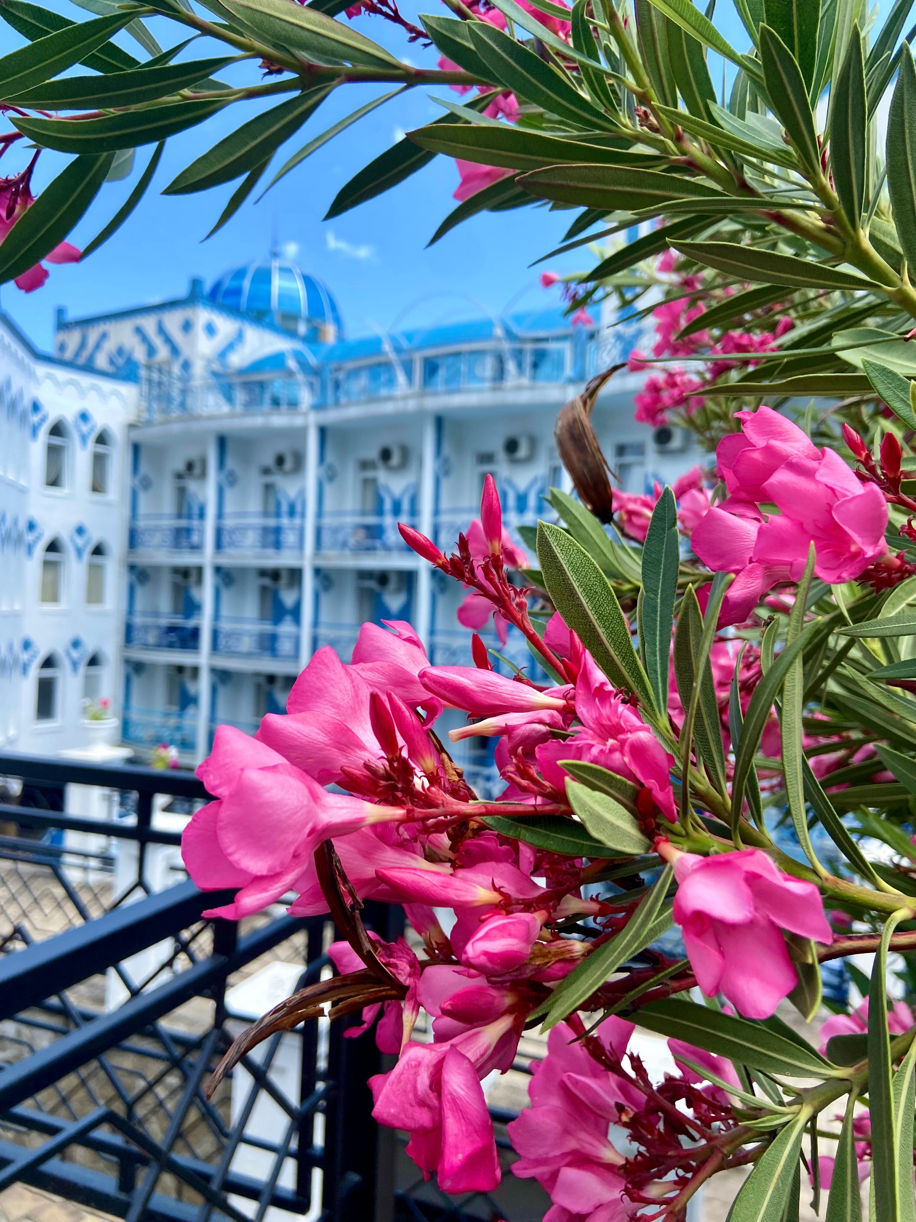 Фото 1001 Ночь