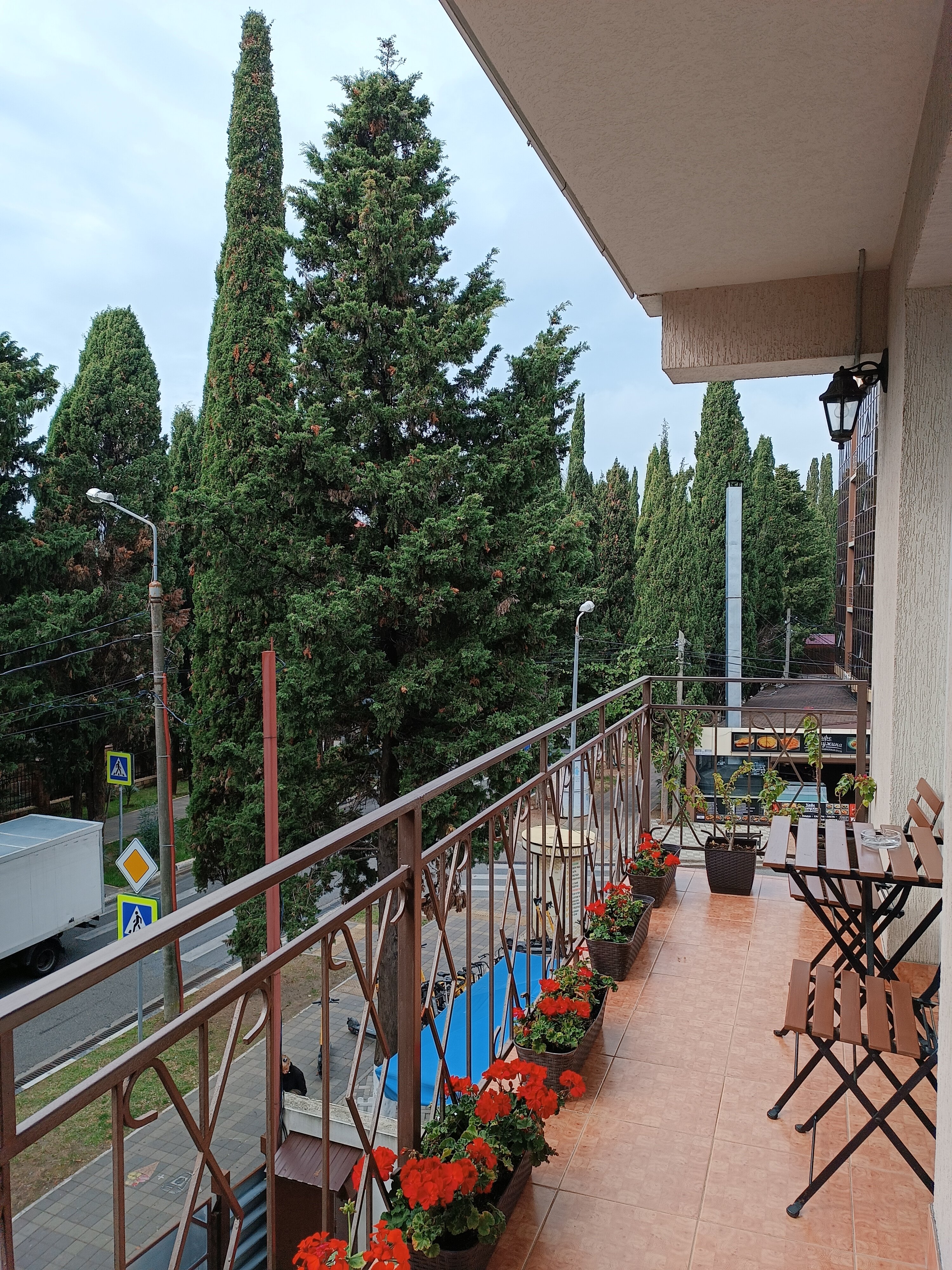 Фото Лаванда