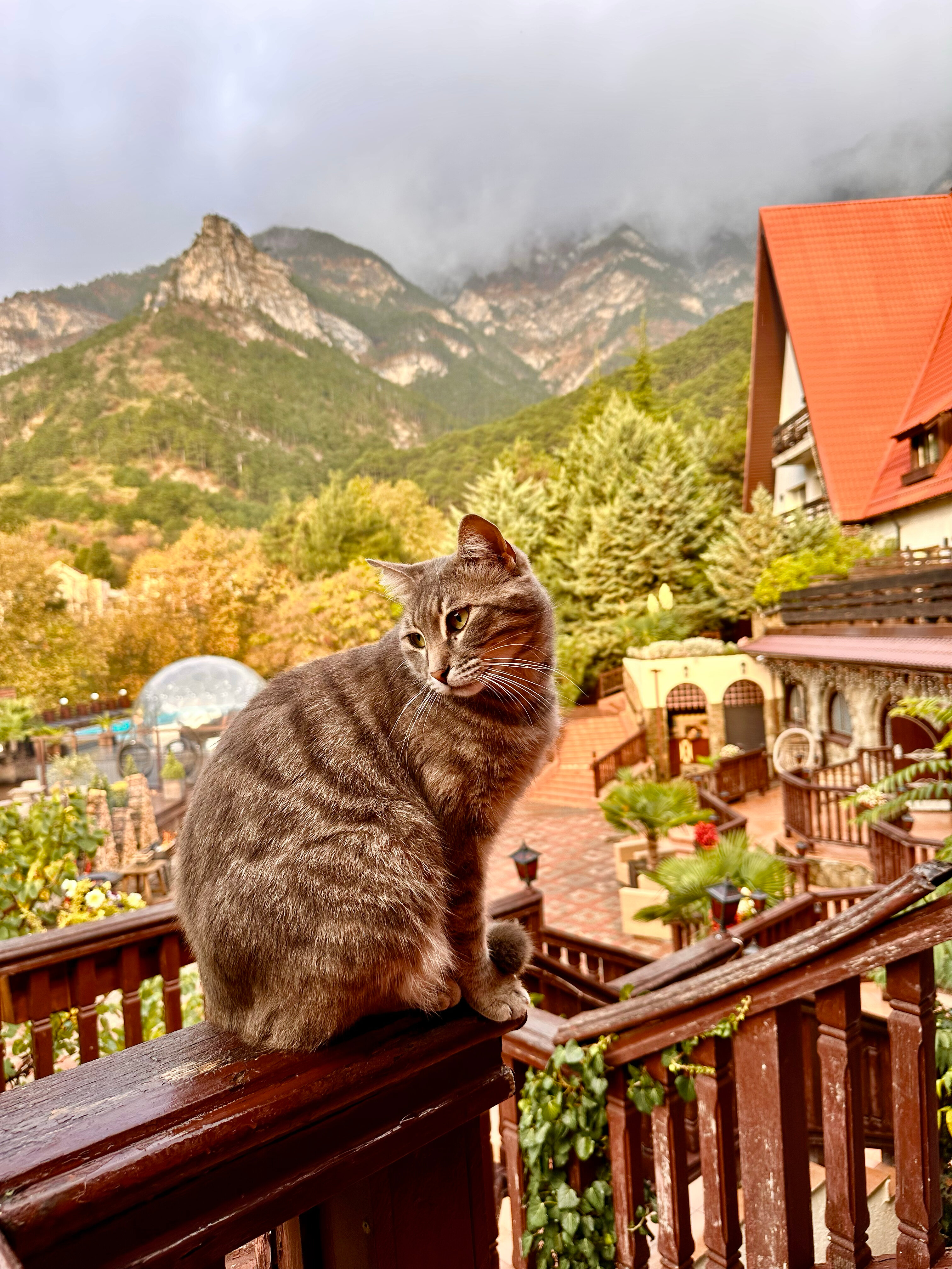 Фото Поляна Сказок