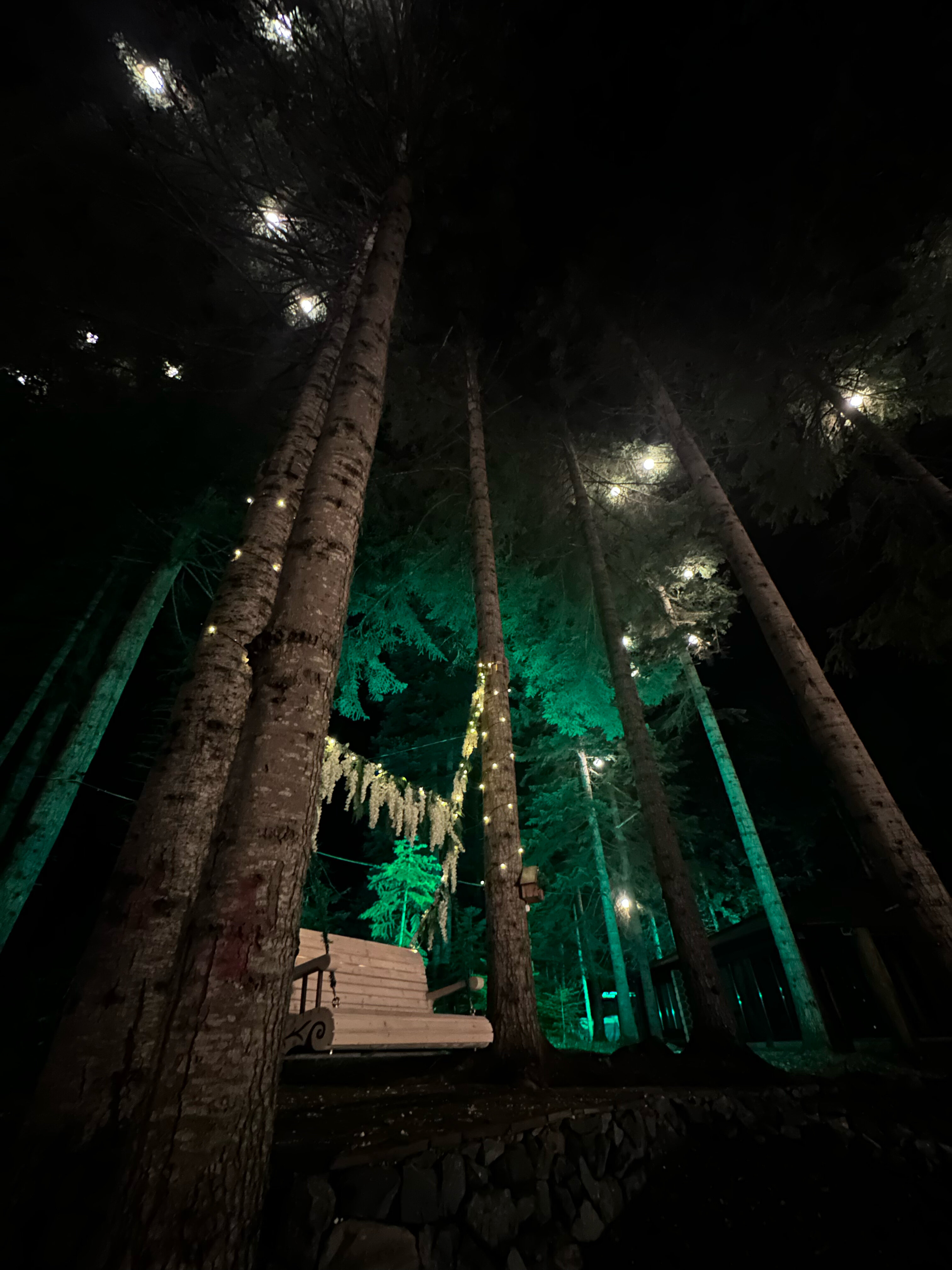 Фото Пихта-парк