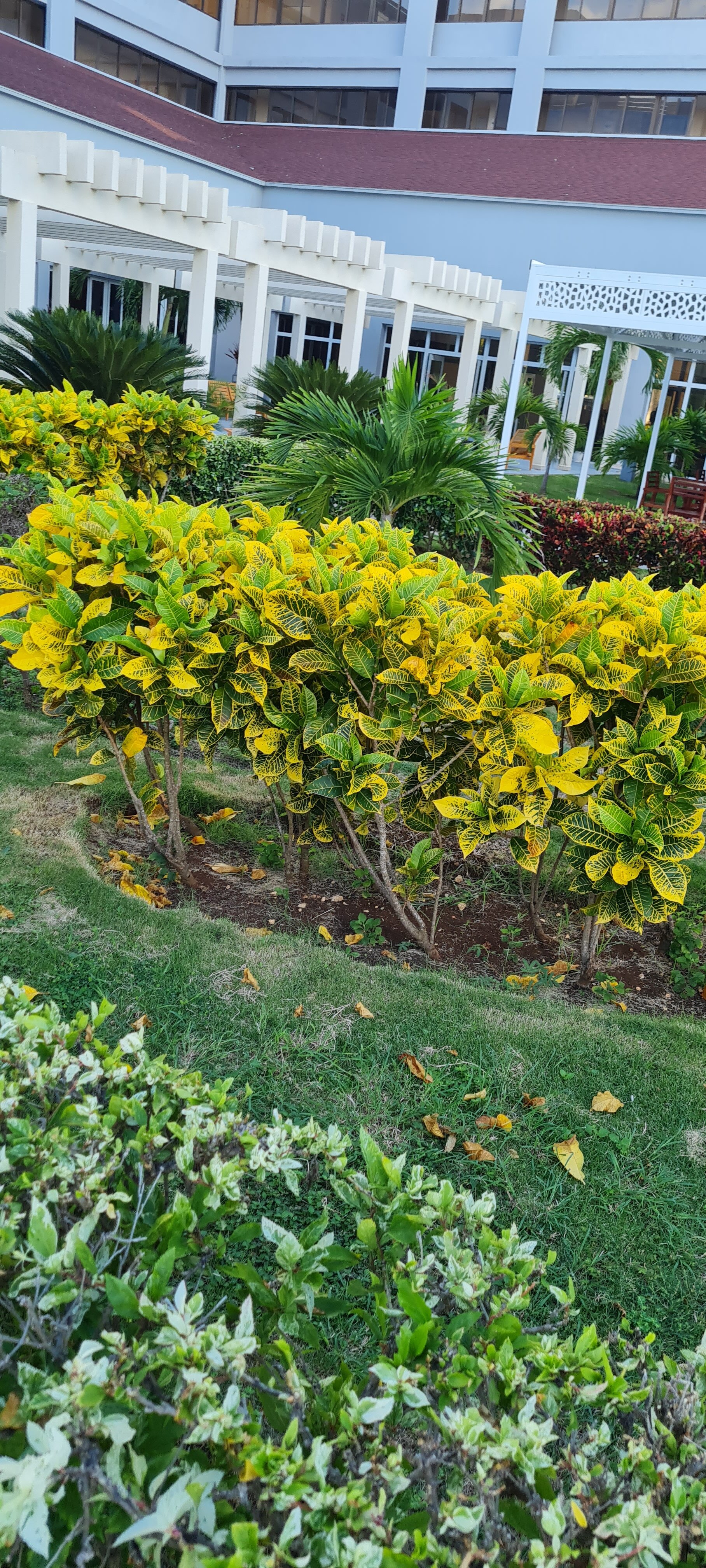 Фото Sol Varadero Beach