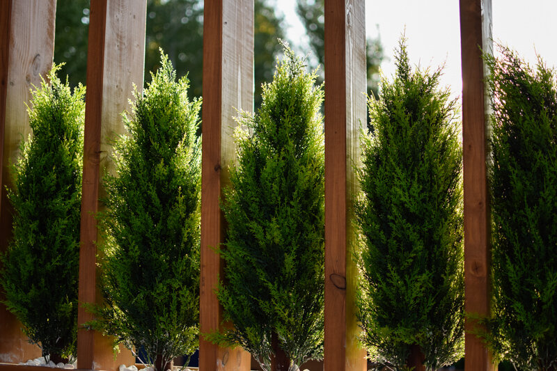 Фото Аквафорест