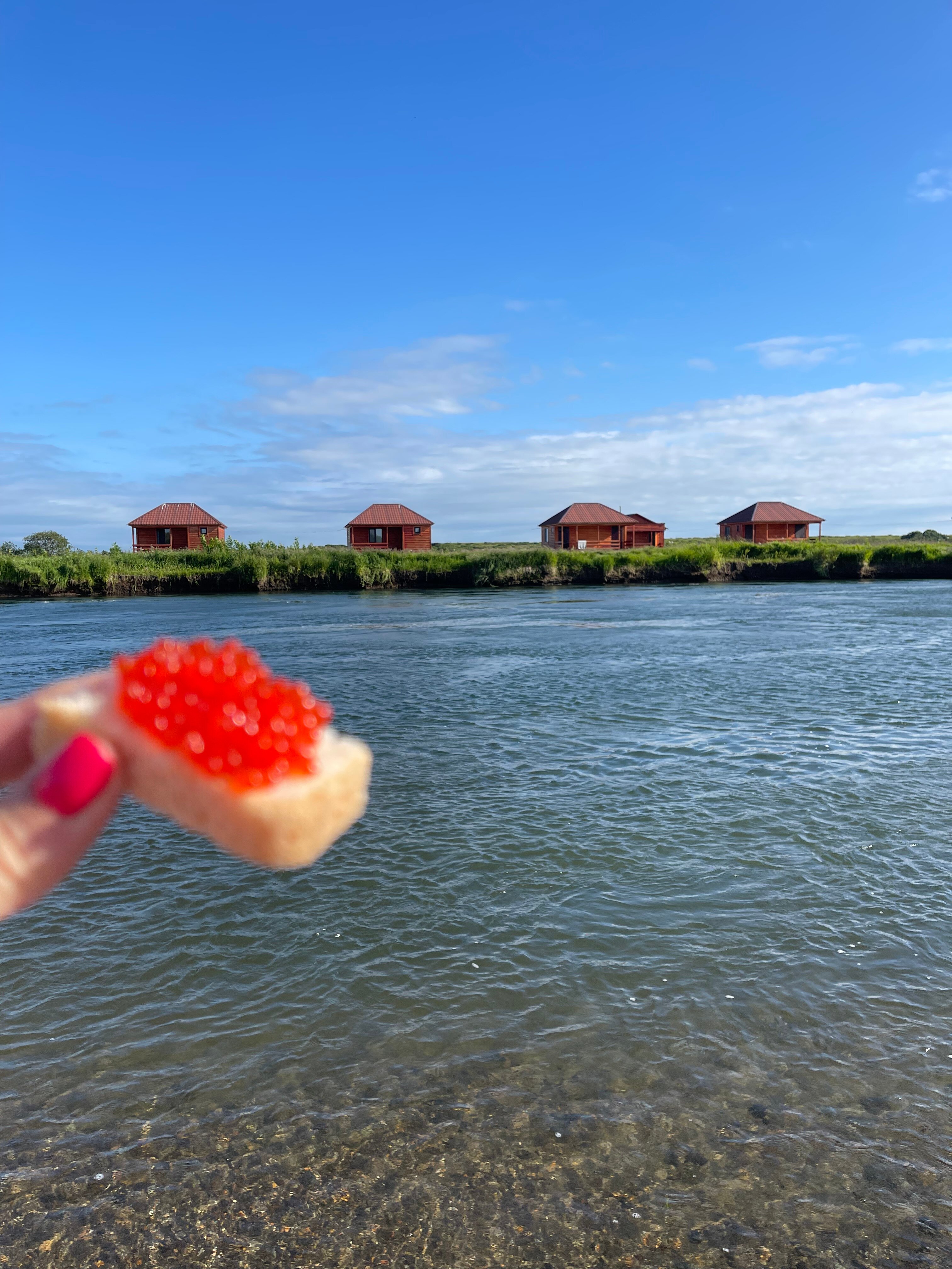 Фото ПроЛосось