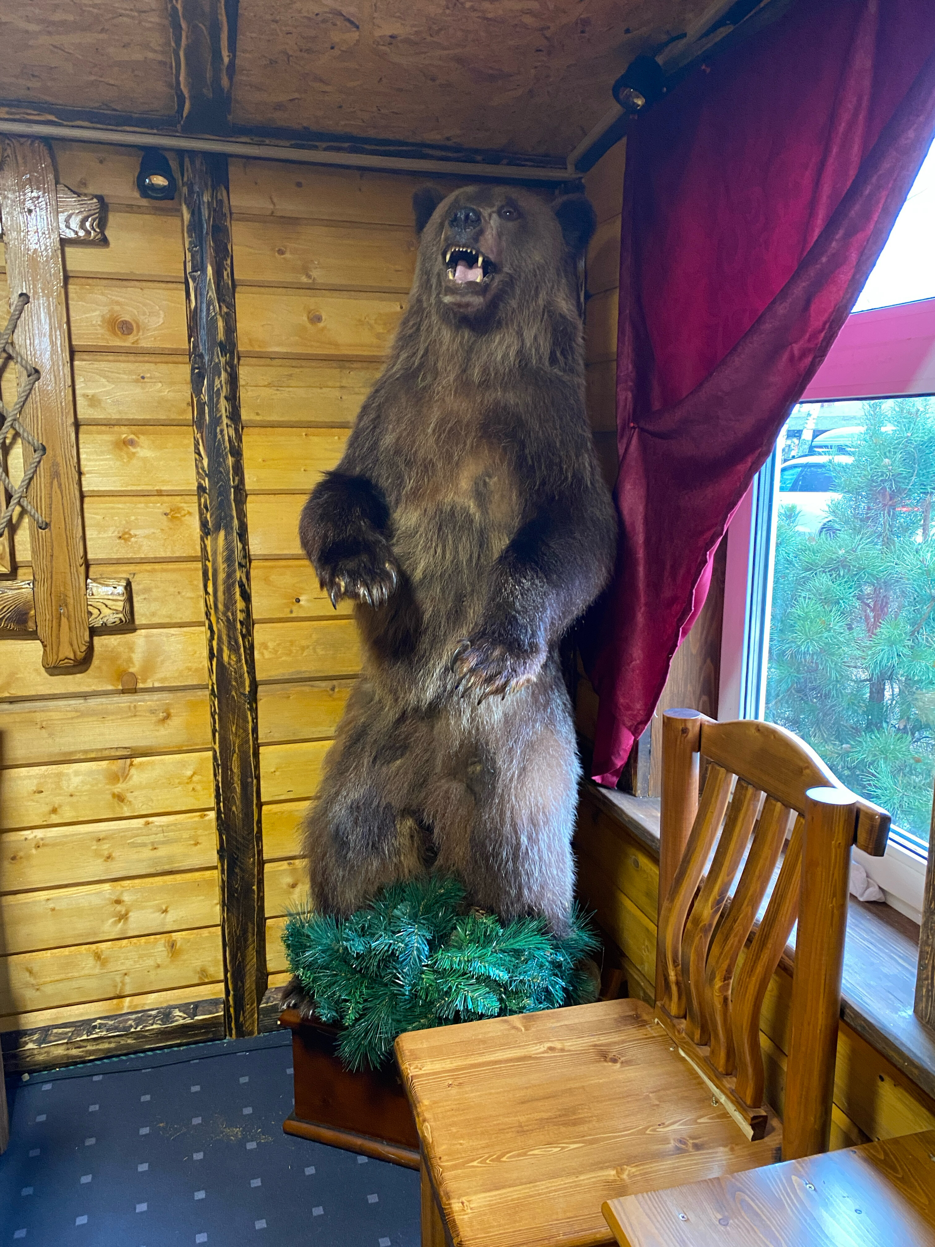 Фото Селигерский бережок