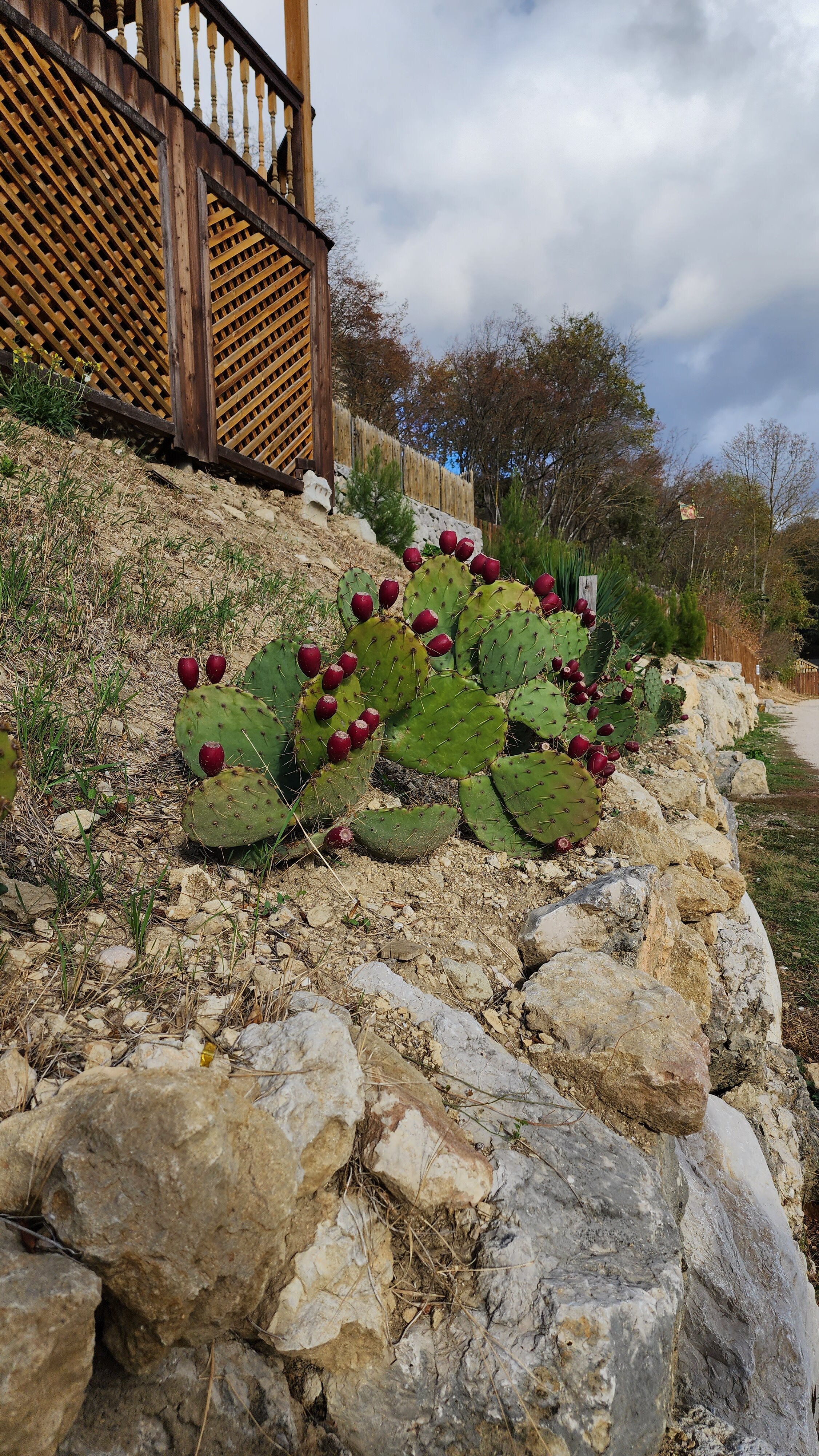 Фото Коба-Чаир