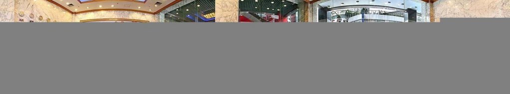 Фото Chongqing Milky Way Hotel