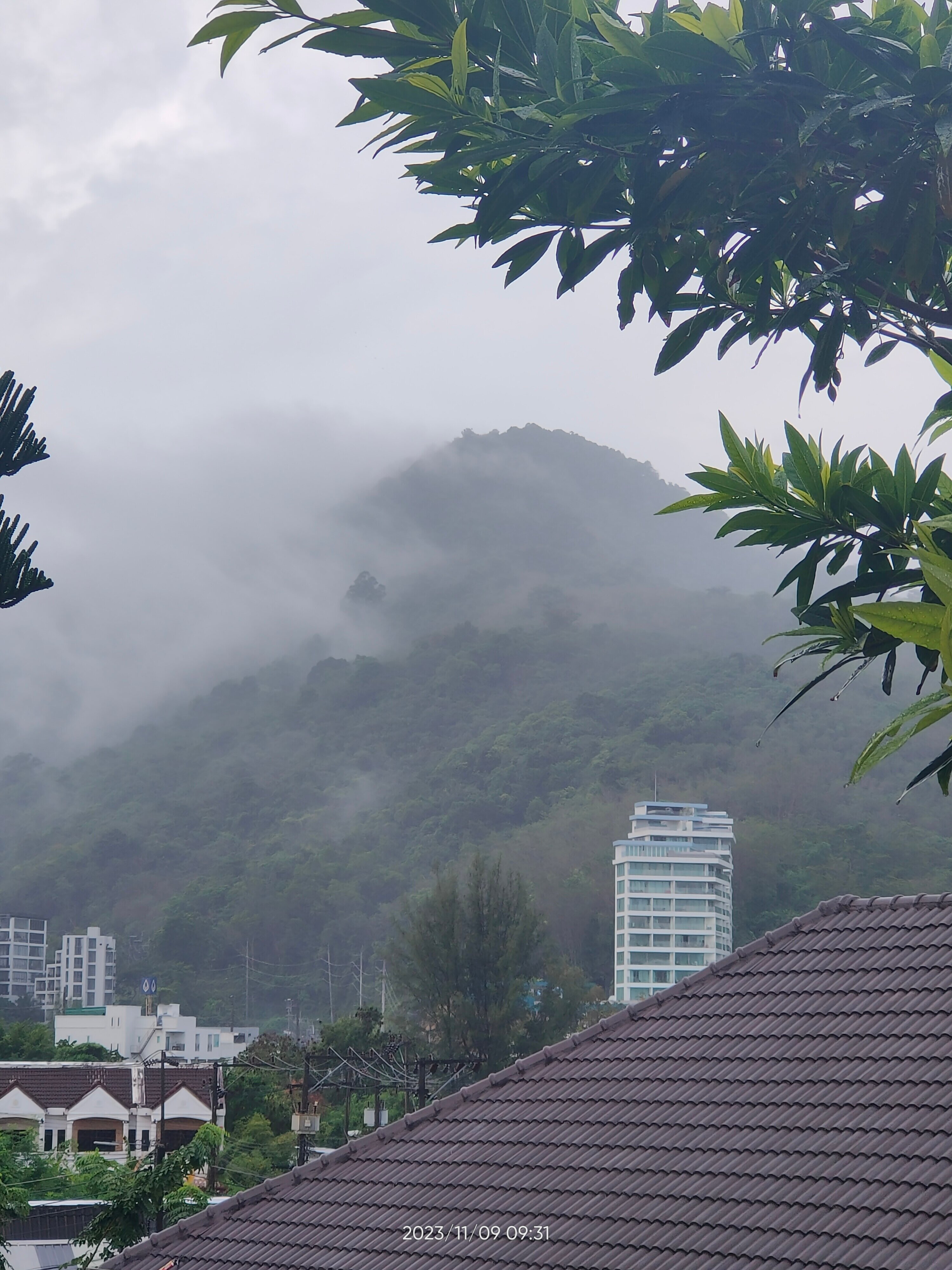 Фото Princess Kamala Beachfront Hotel