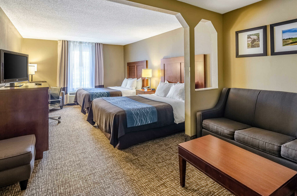 Comfort Inn And Suites Radford Gostinica Ssha Krischensberg 2331