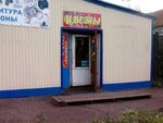 Цветы (ulitsa Betkhovena, 22/4), floristeria