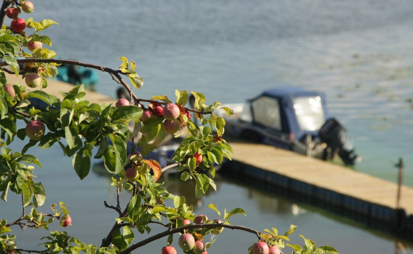 Фото Барминский остров