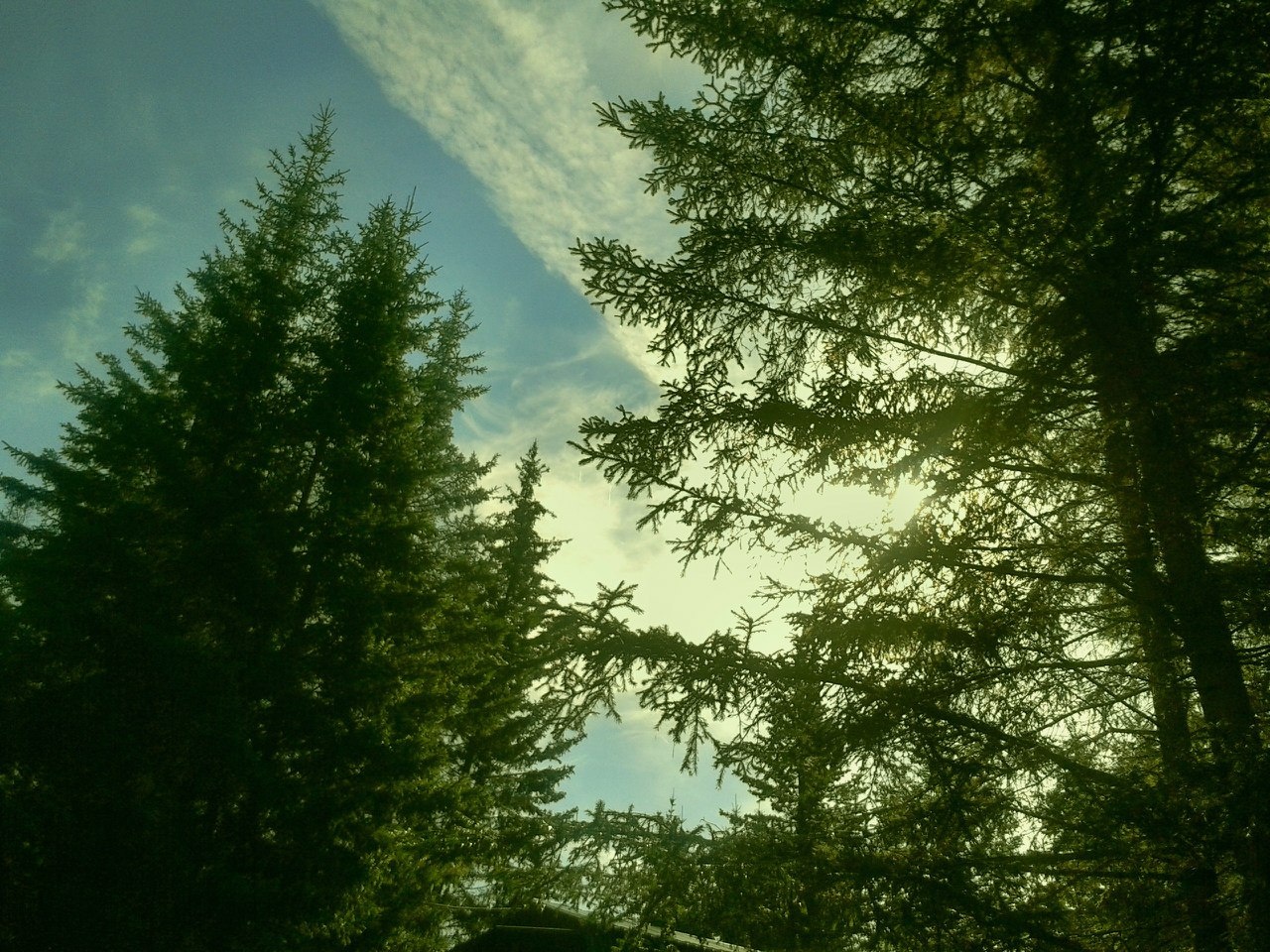 Фото Раухова мельница