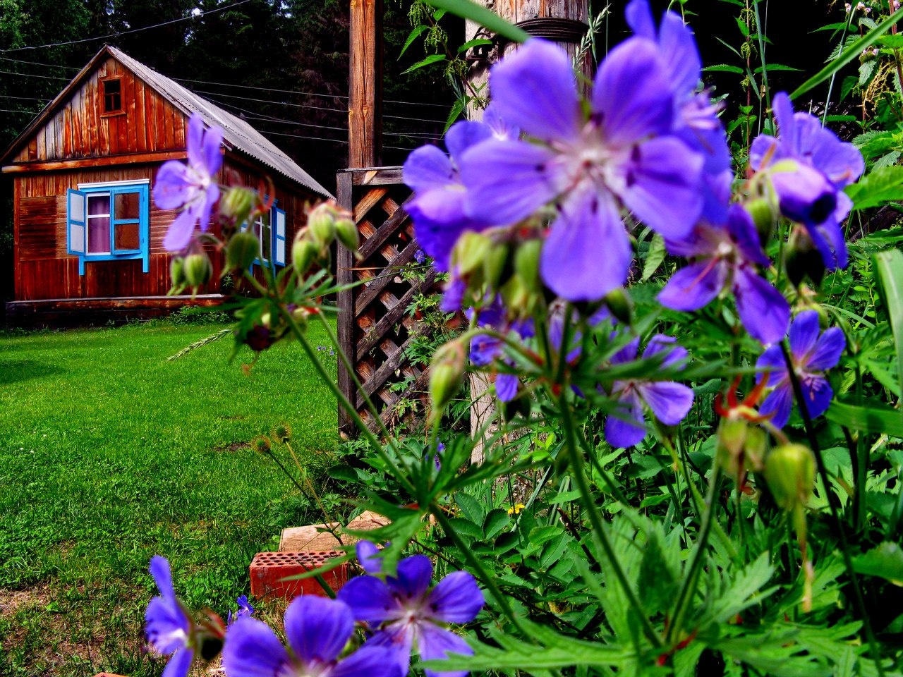 Фото Раухова мельница