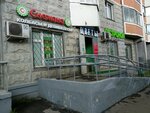 Regina (Gazoprovod Street, 15), grocery