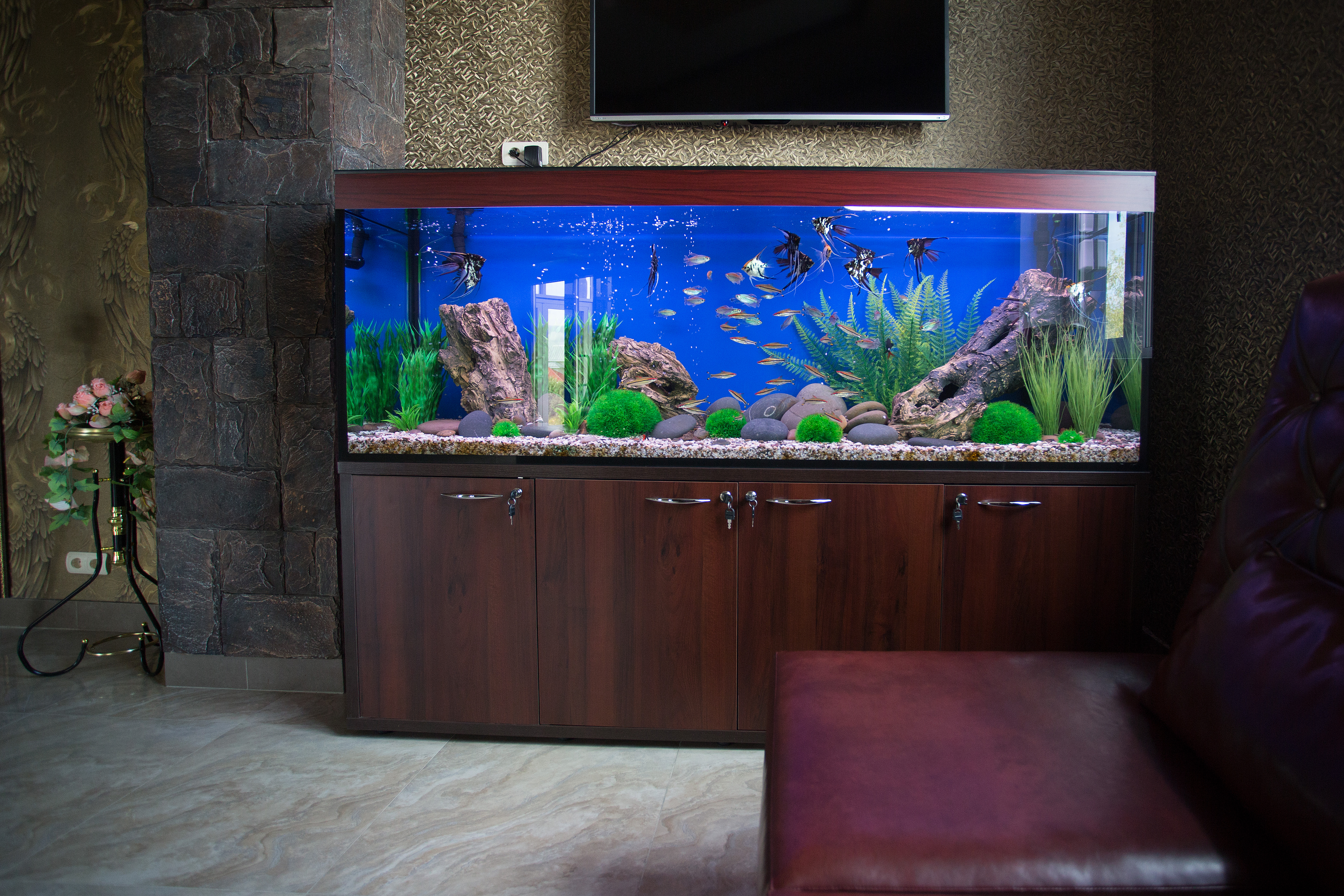 Фото Корона