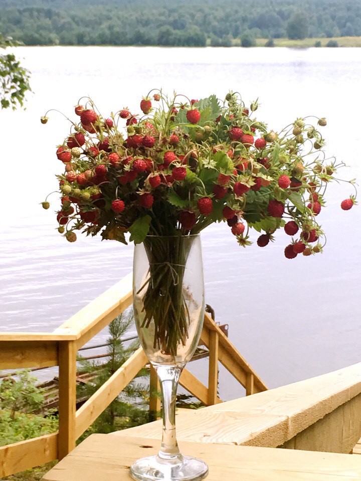 Фото Зайкина дача