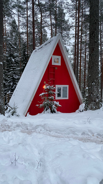 Фото Гринвальд Парк Скандинавия