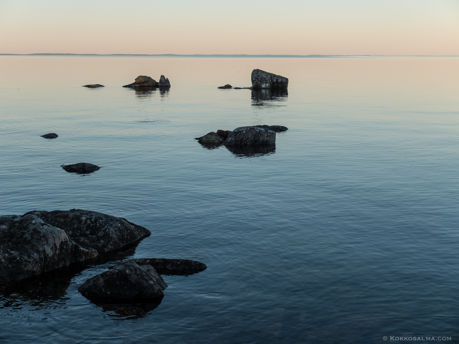 Фото Лось&Мох