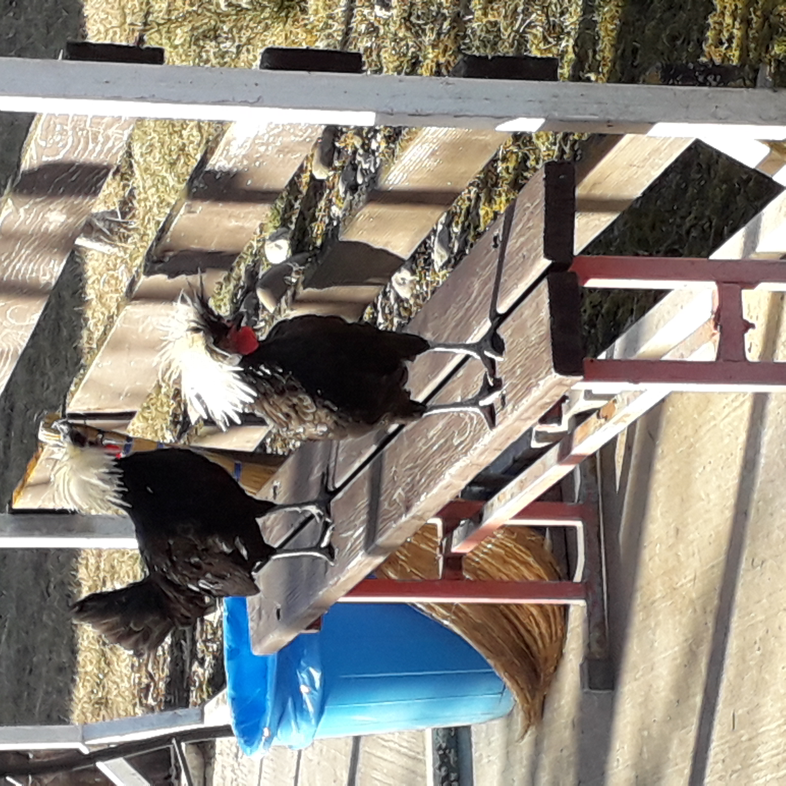 Фото Гостевой Дом Нахалёнок