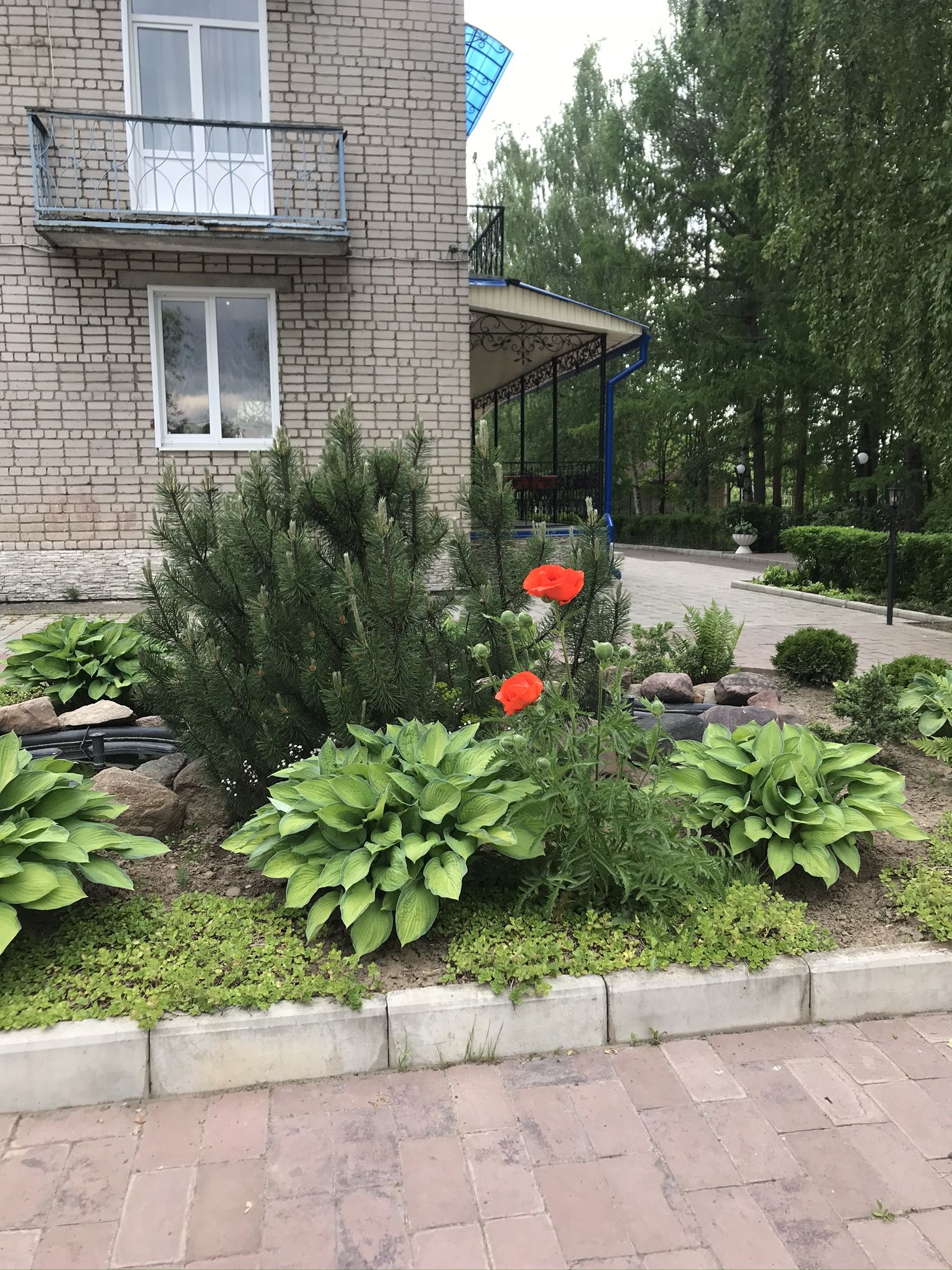 Фото Спа-Волга