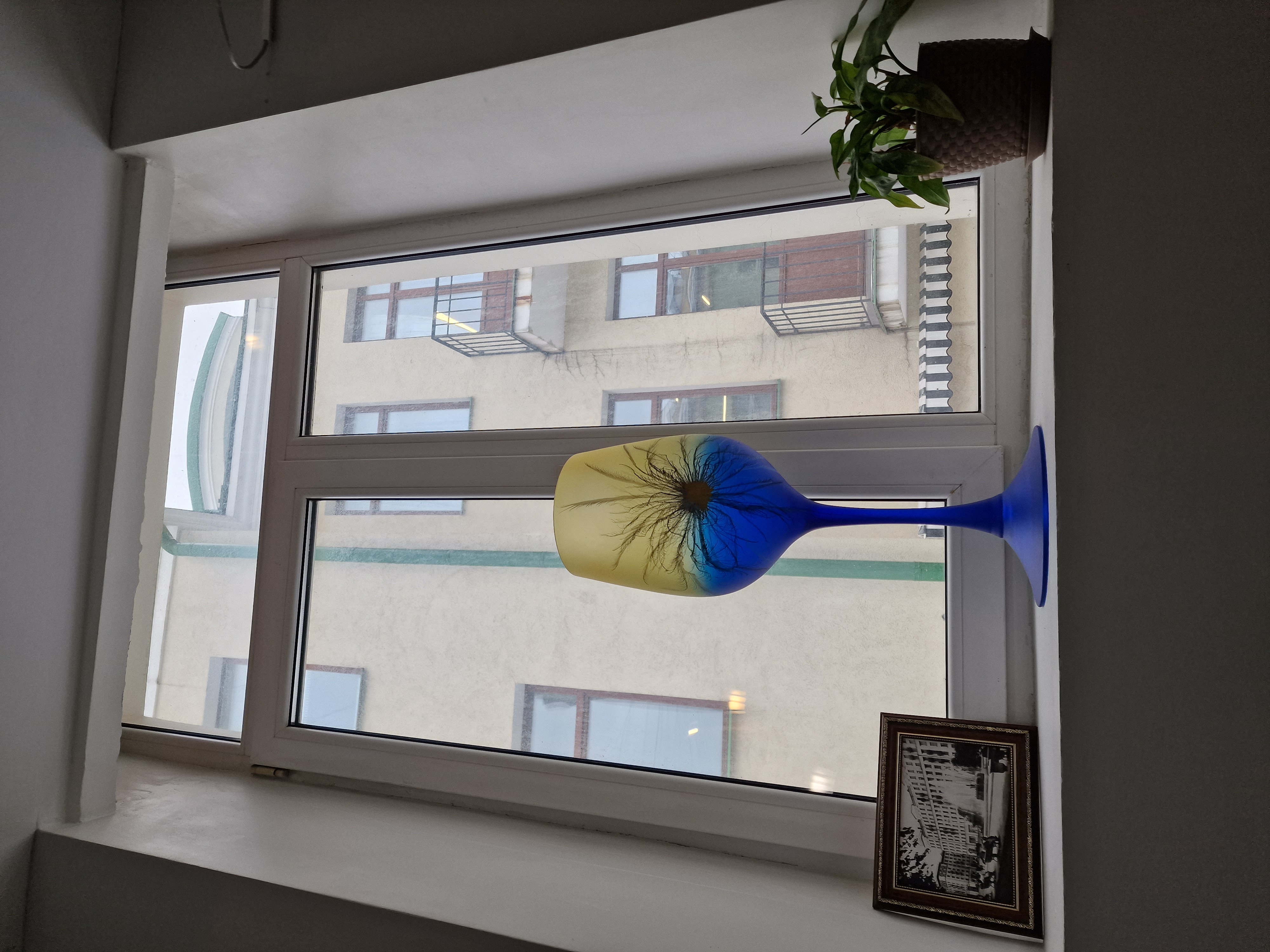 Фото Ханзер