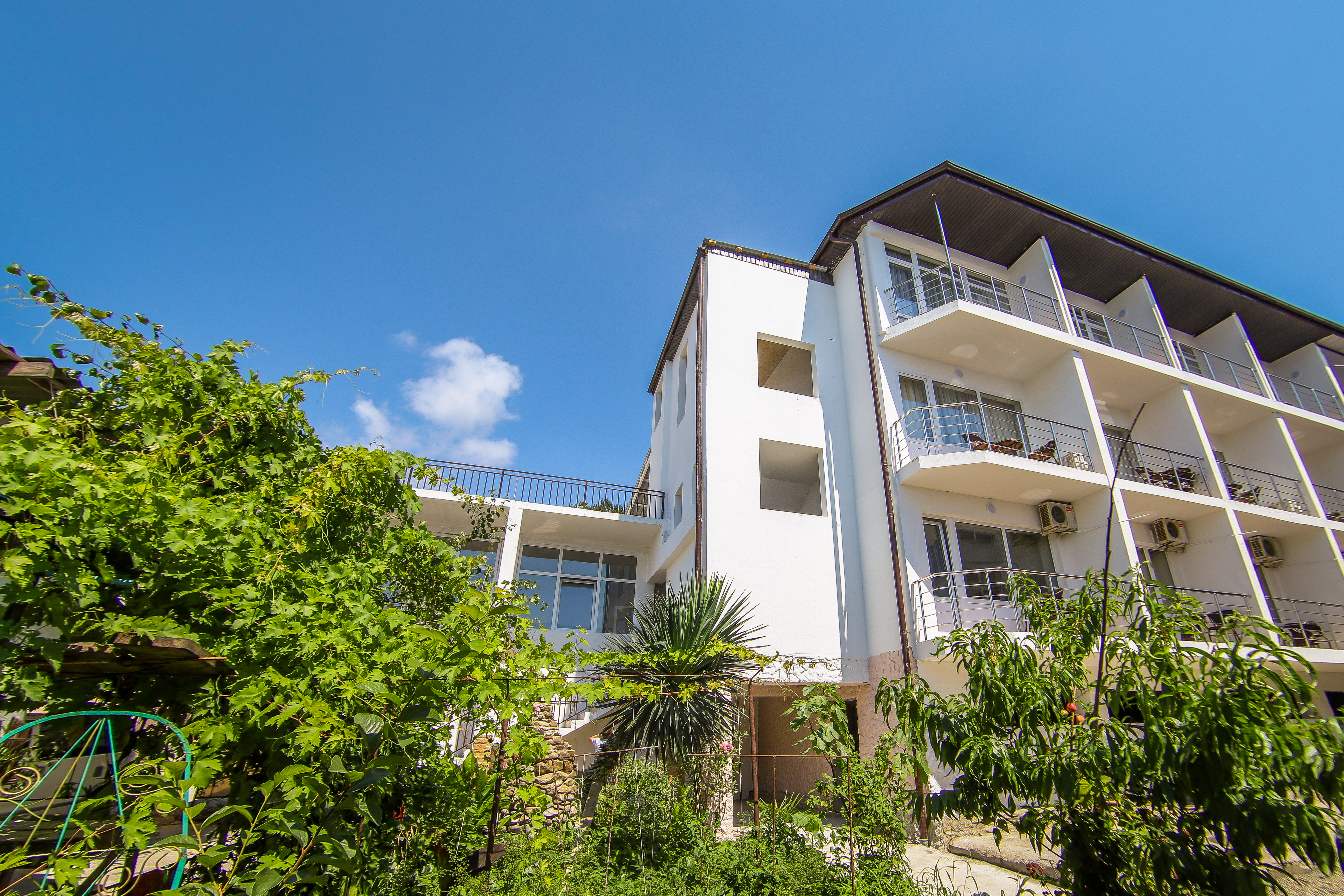 Фото Эллеон