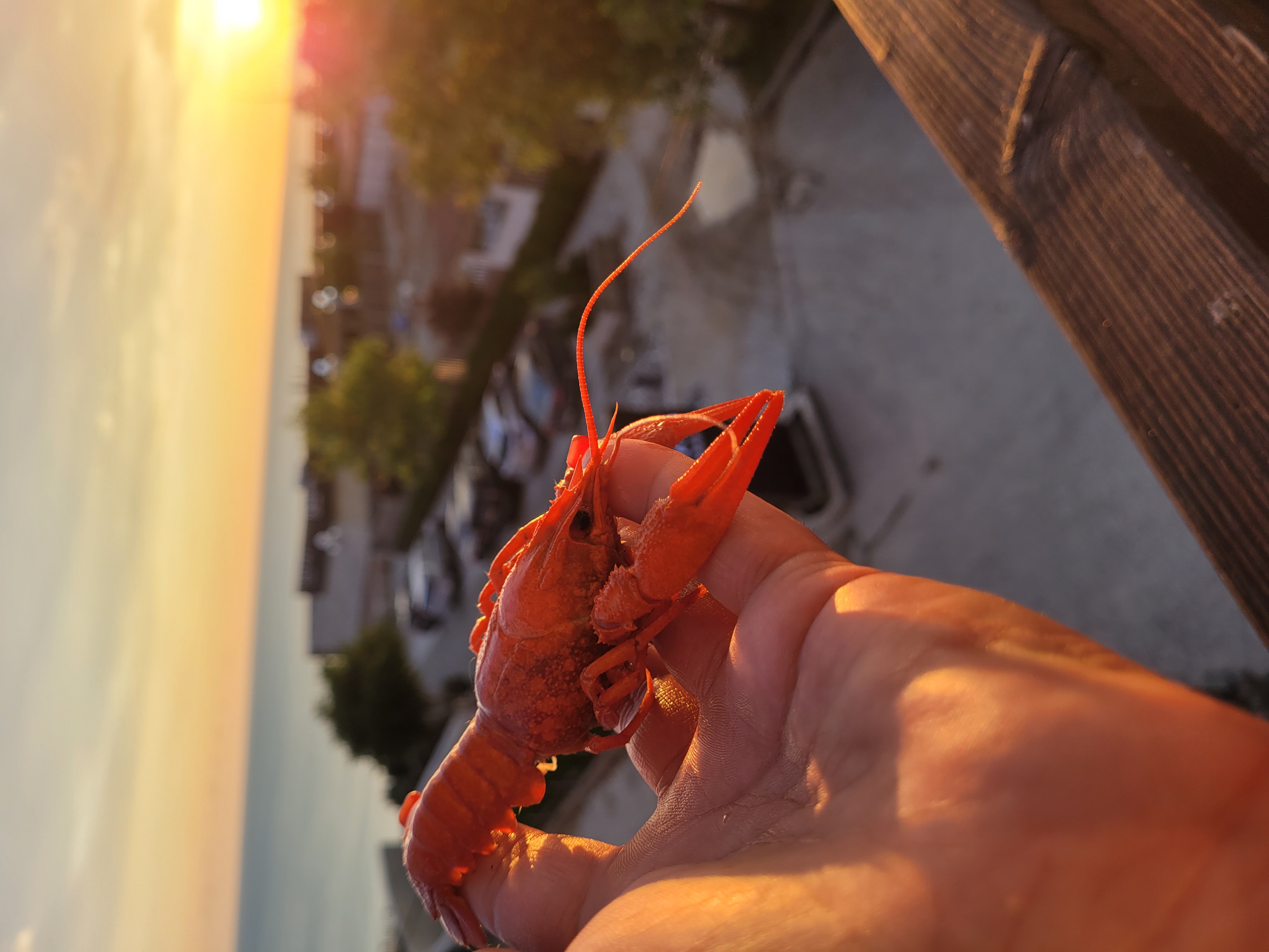 Фото На Набережной