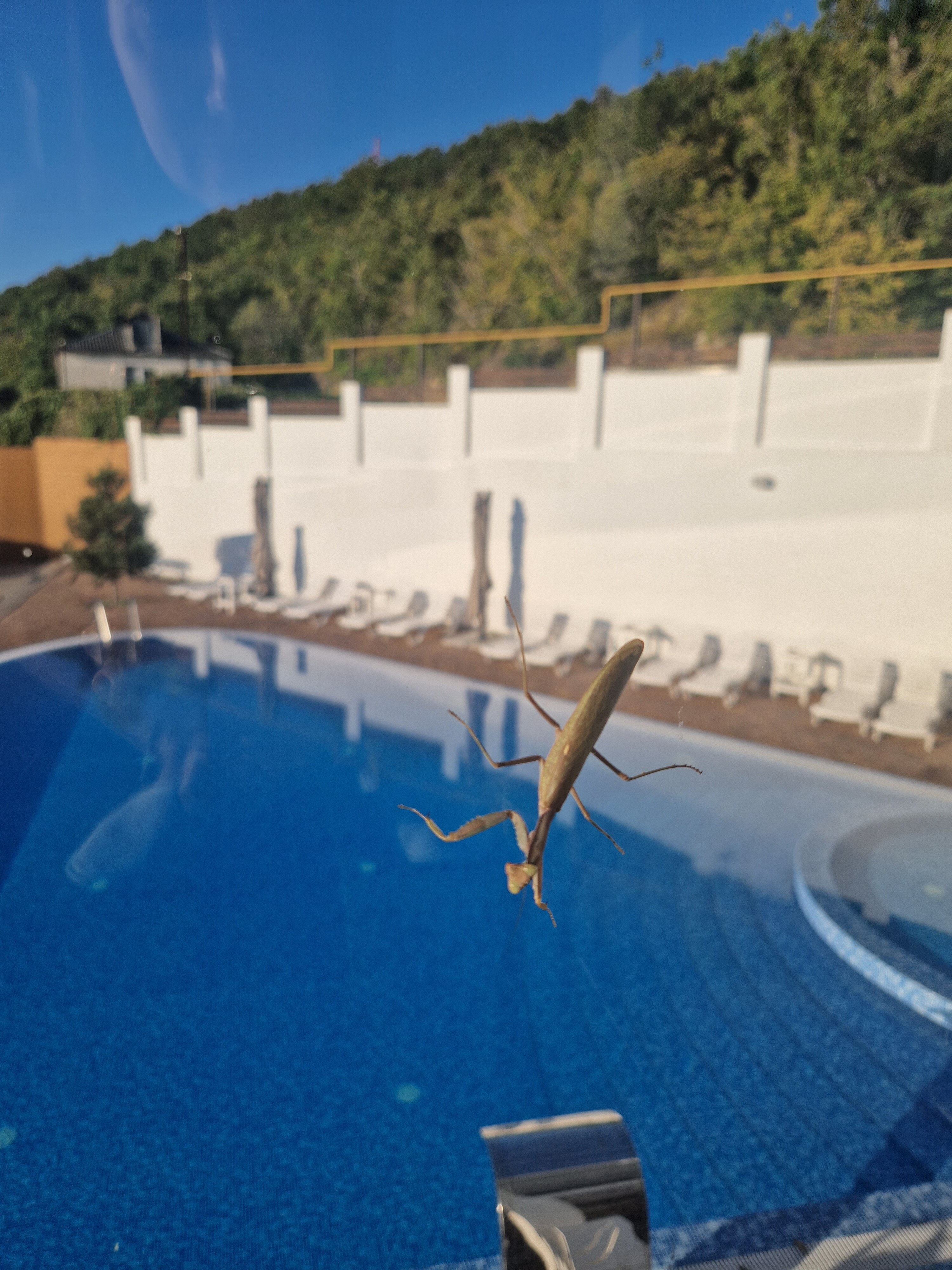 Фото Villa Natali Abrau