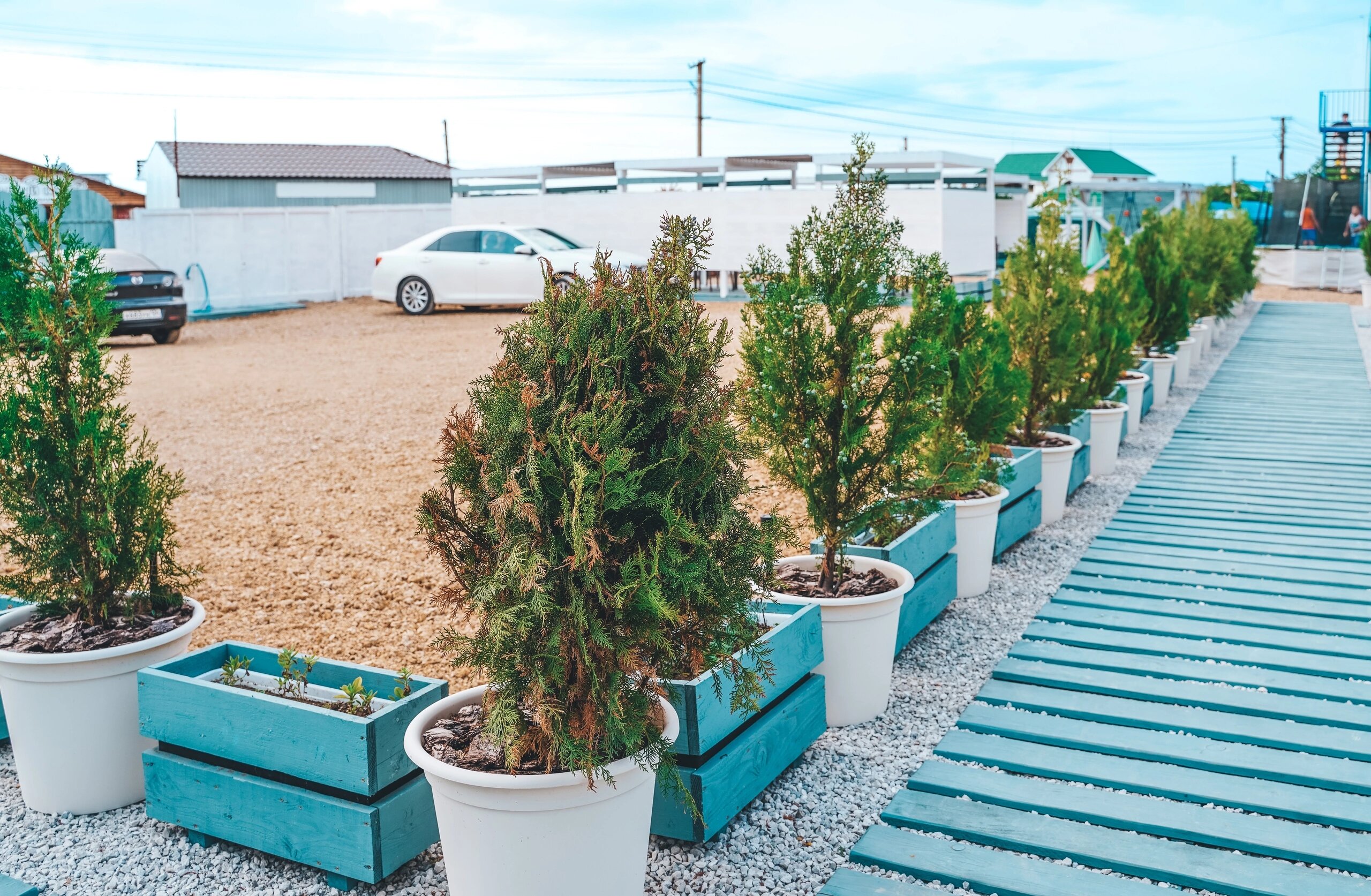 Фото Белый берег