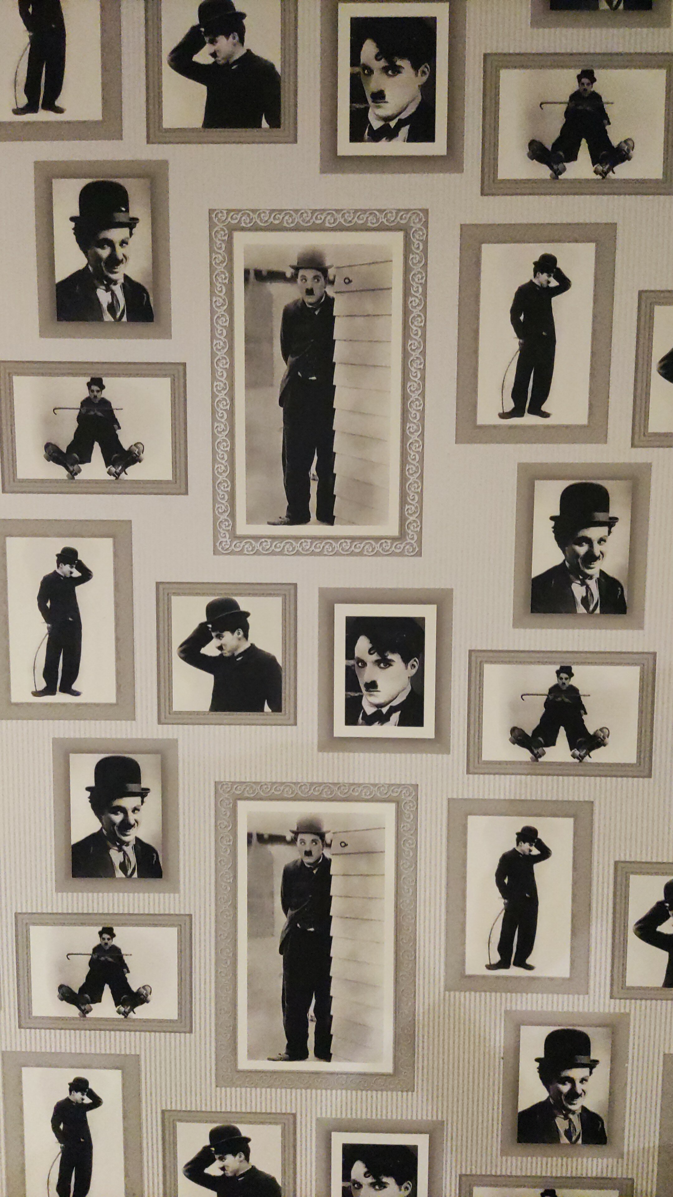 Фото Наутилус