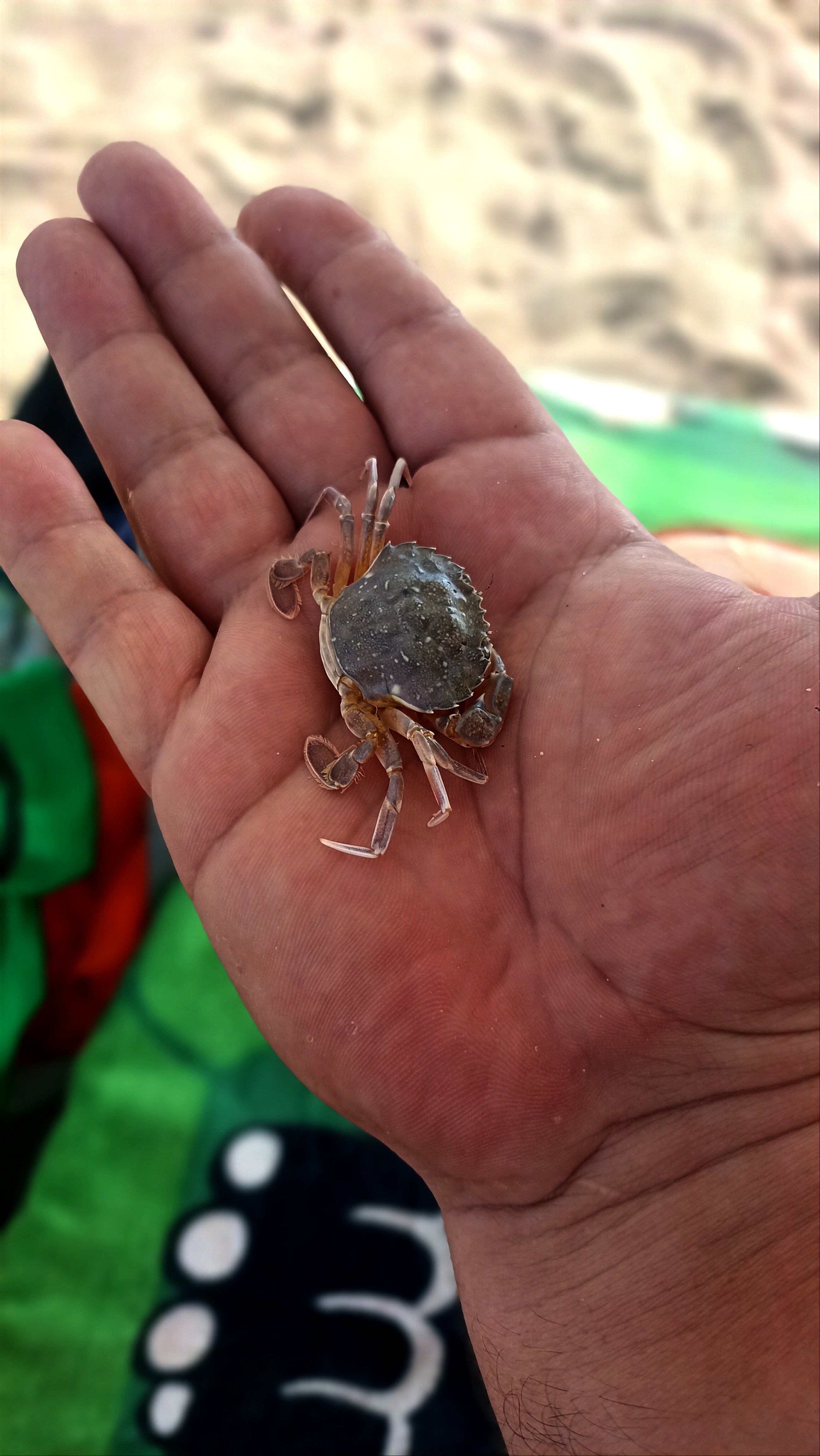 Фото Улыбка