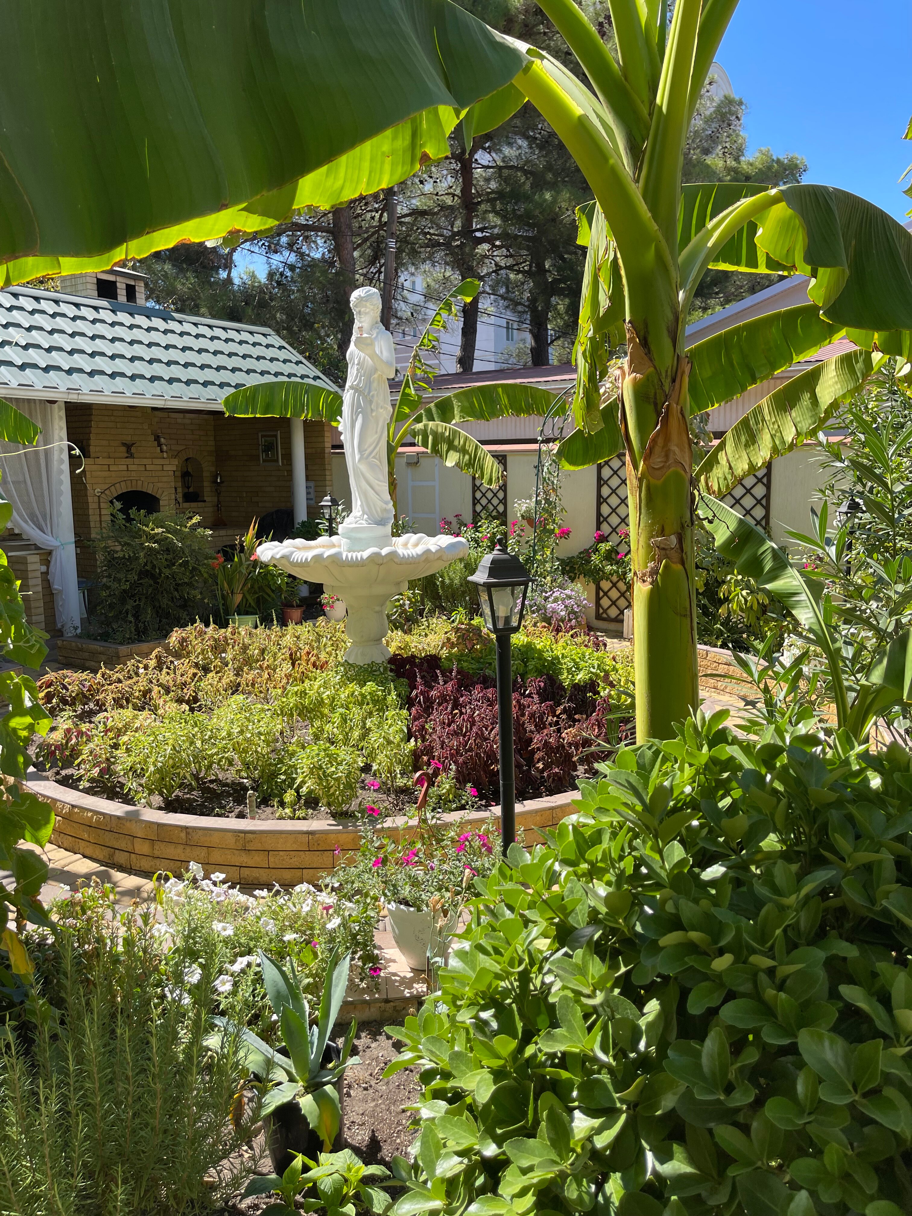 Фото Акварель