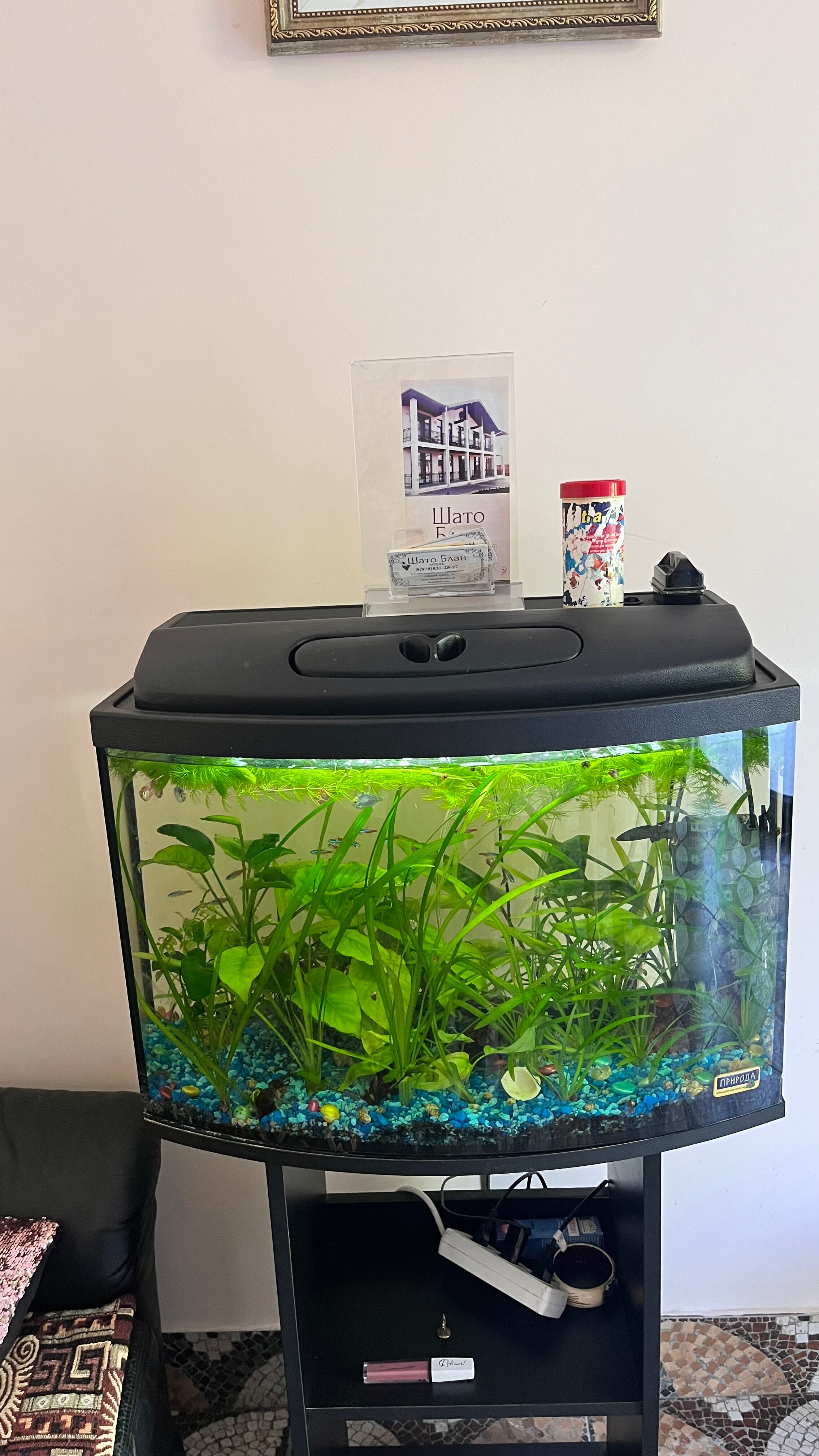 Фото Шато Блан