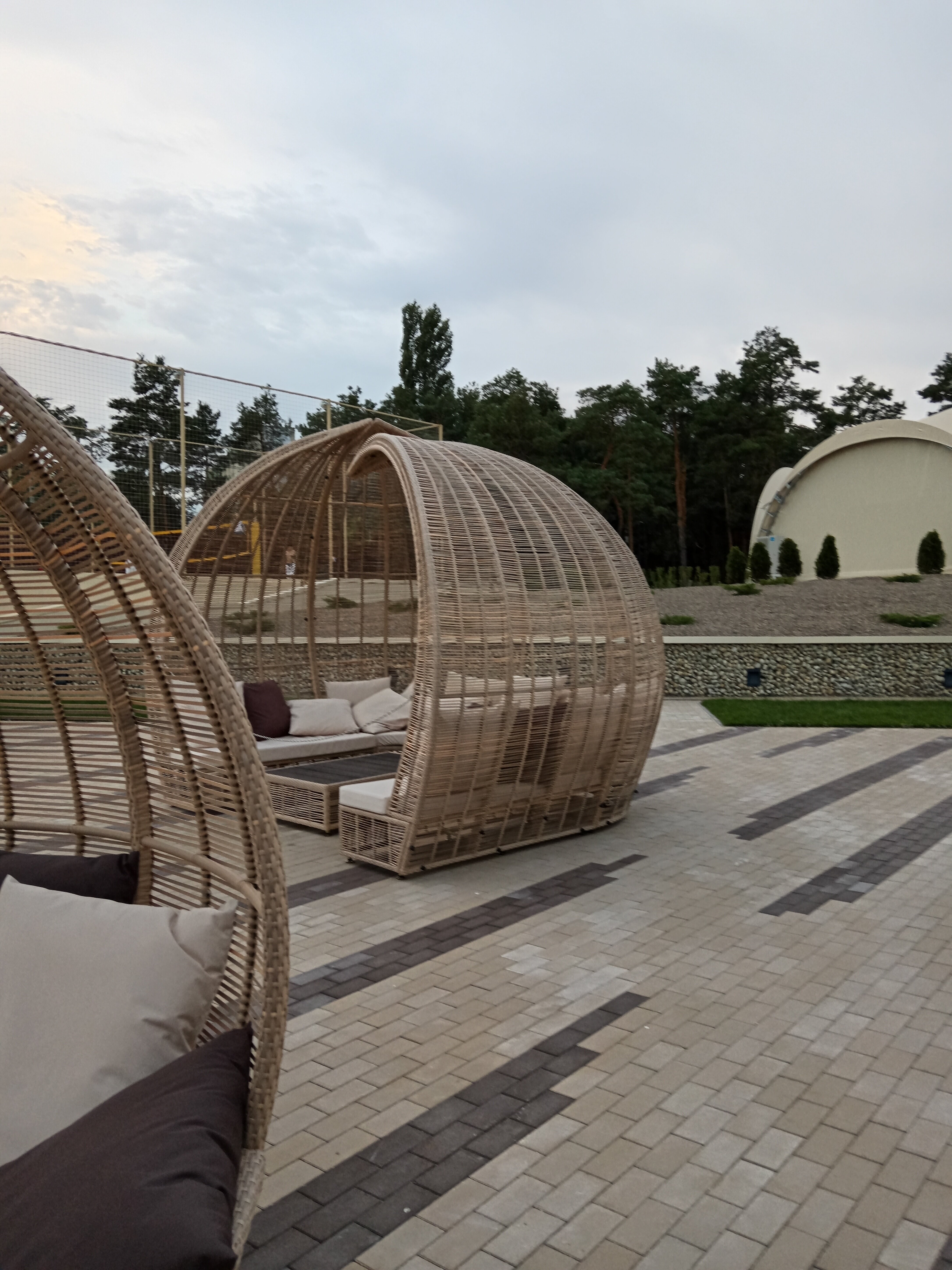 Фото Наша Хвоя