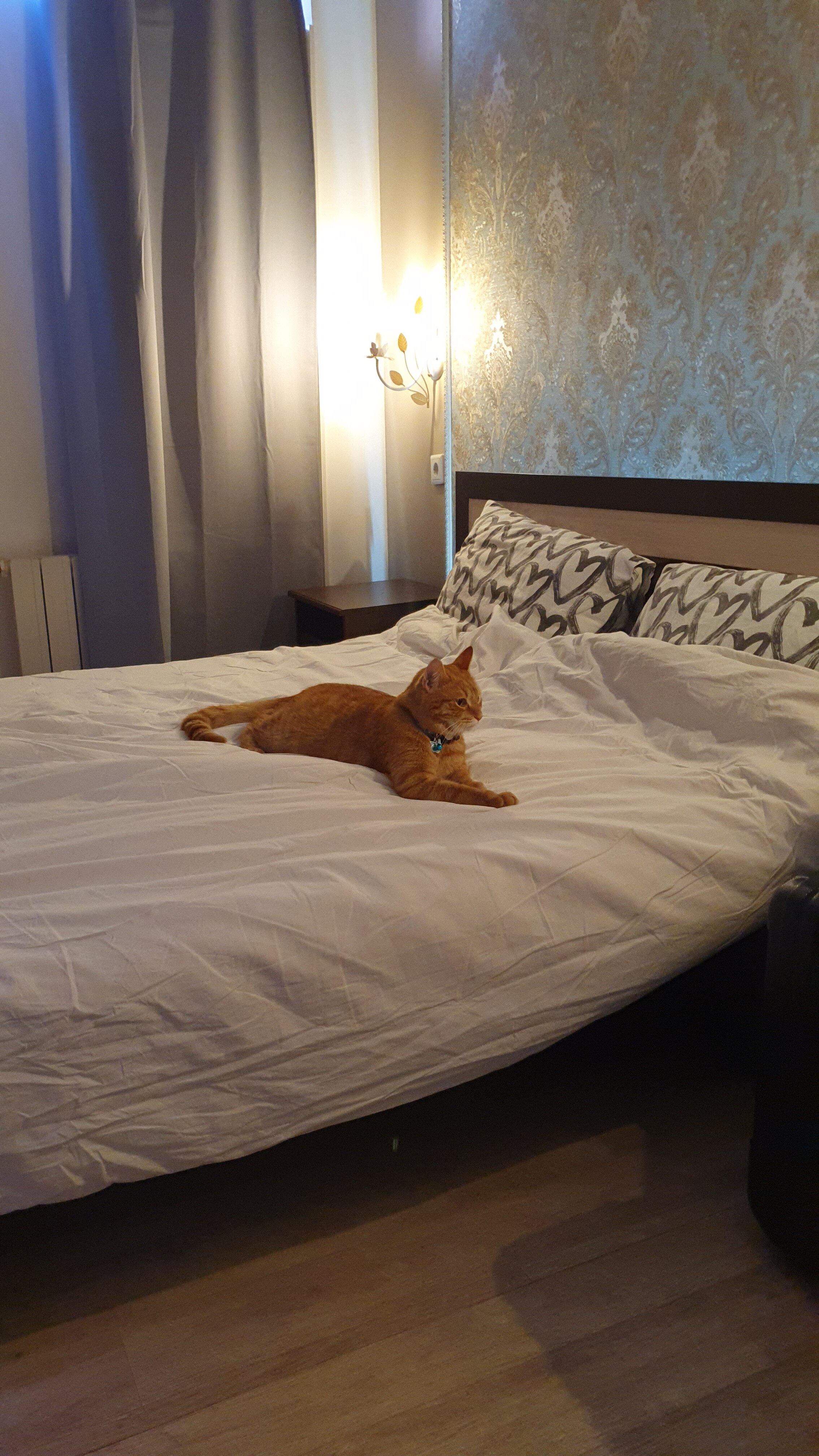 Фото В гостях у бабуsи