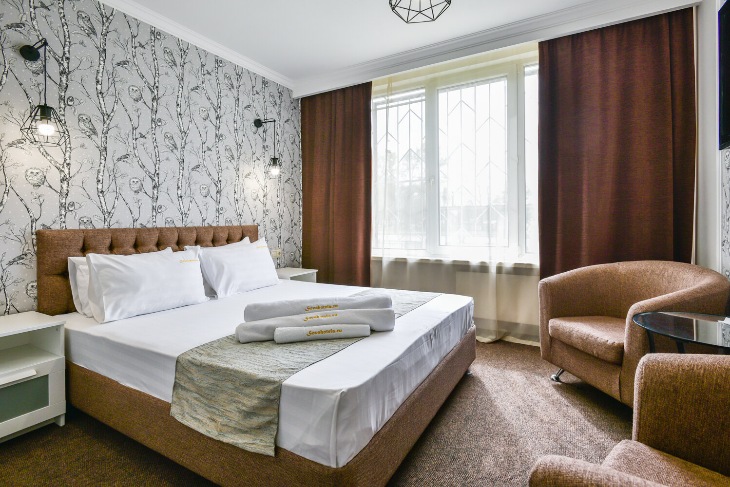 Фото Сова на Планерной