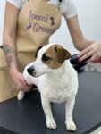 Loomi Groomi (Vavilova Street, 97), pet salon
