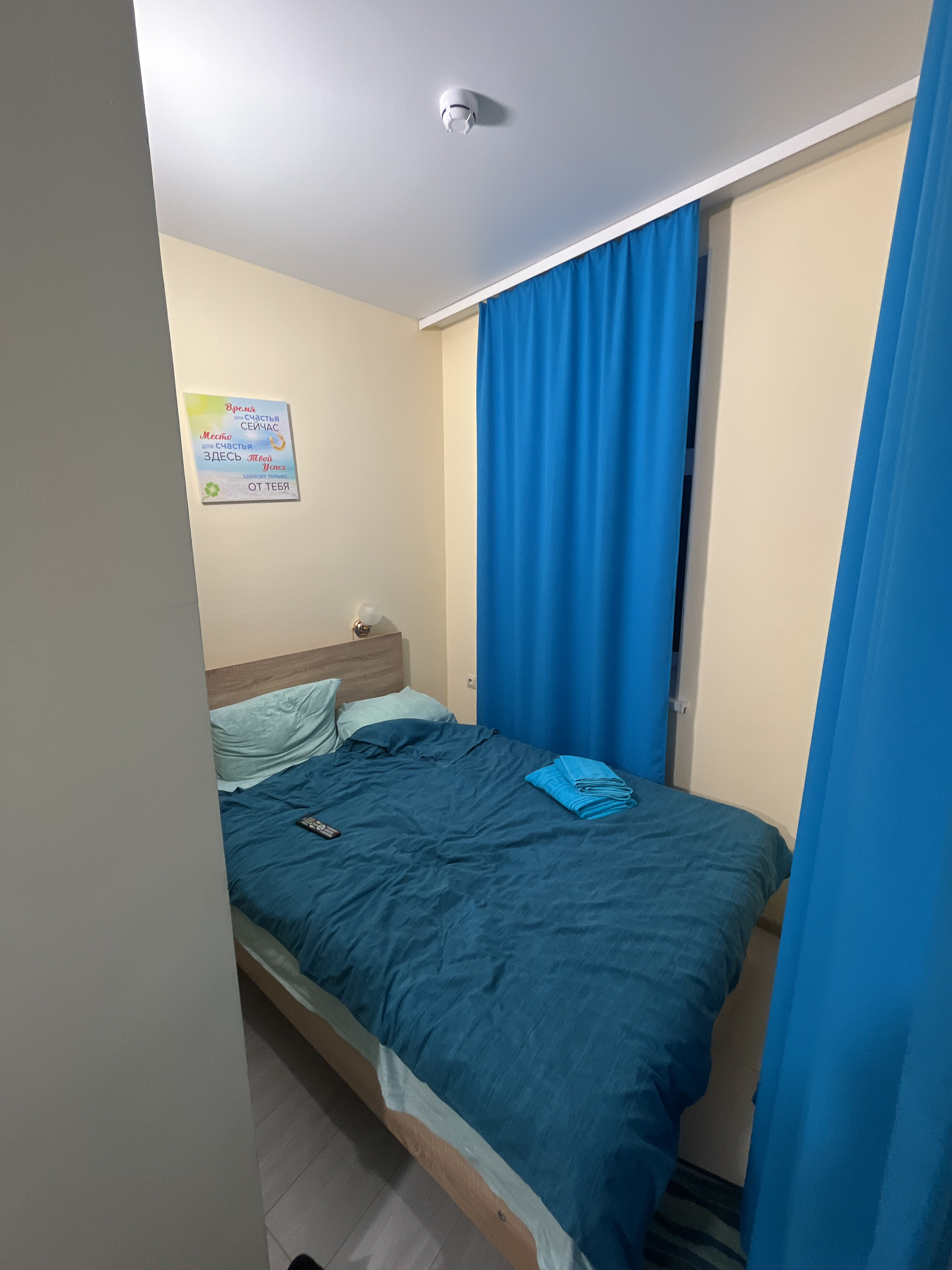 Фото Золотой Клевер