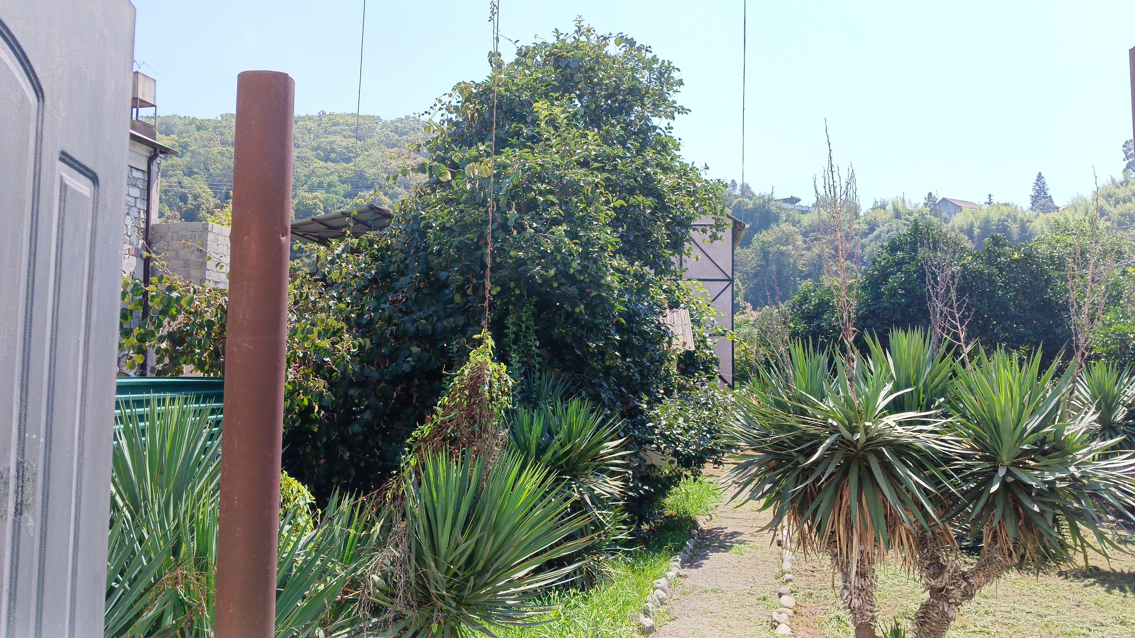 Фото Sad U Morya