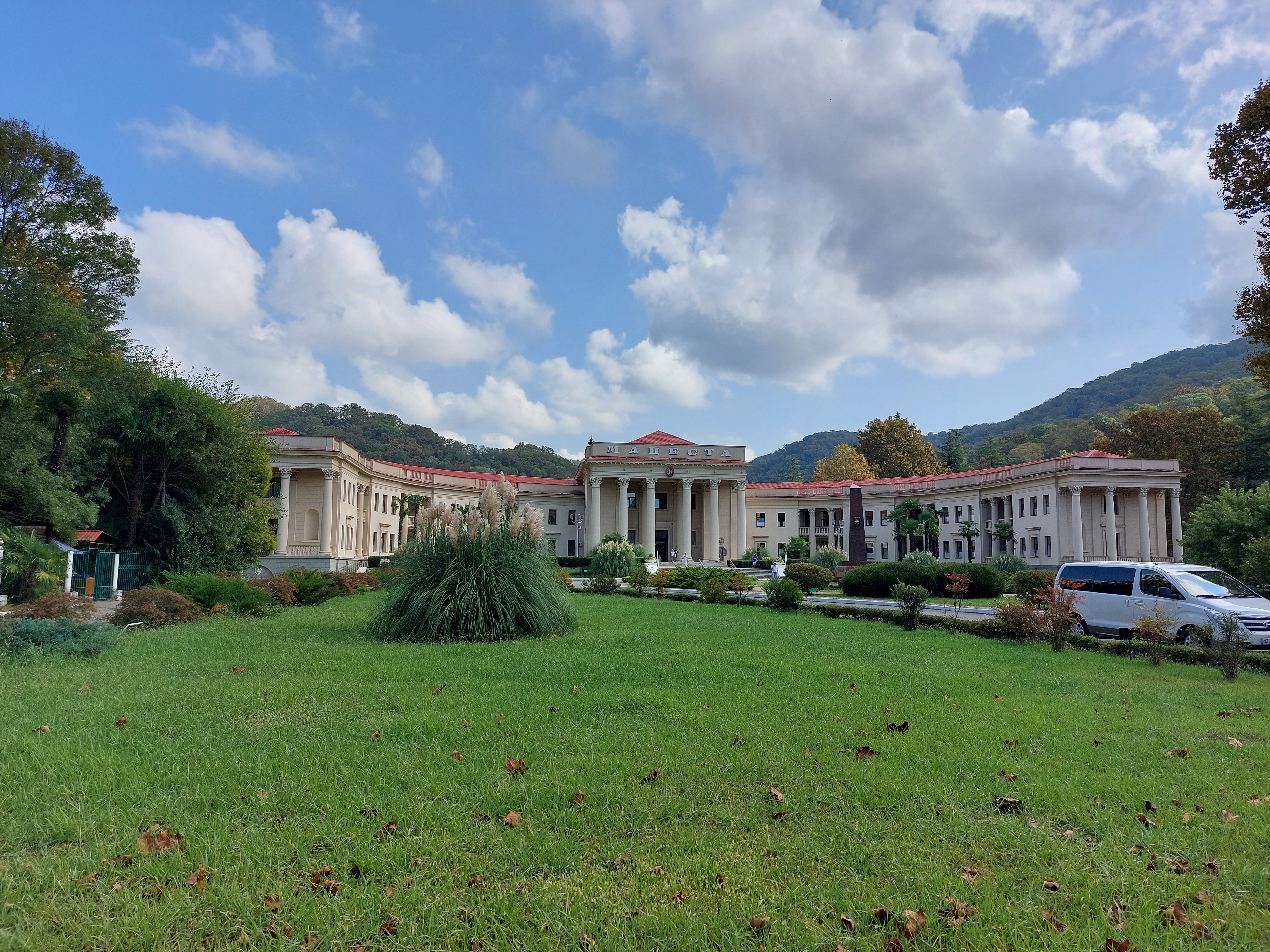 Фото Зелёная роща