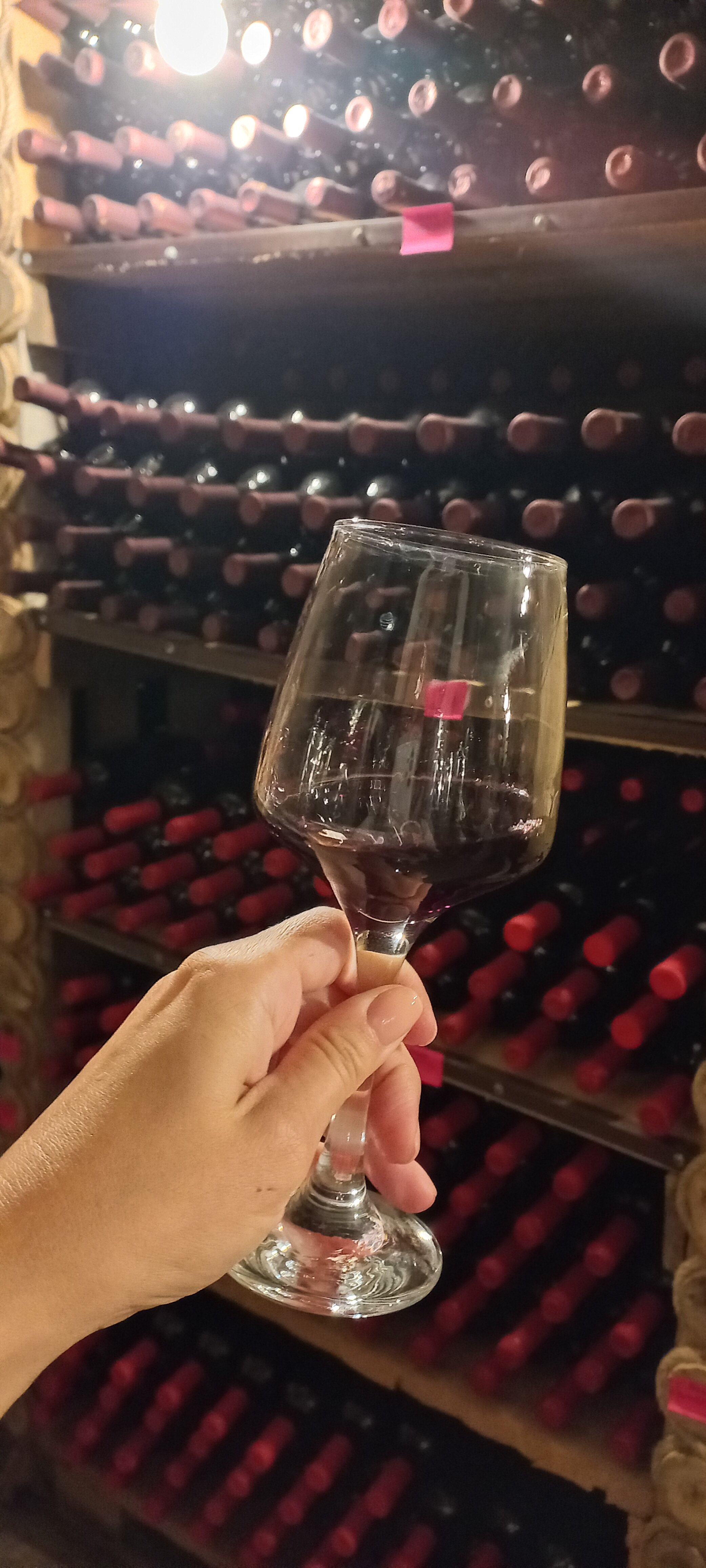 Фото Marani Mtrediani Wine Lodge