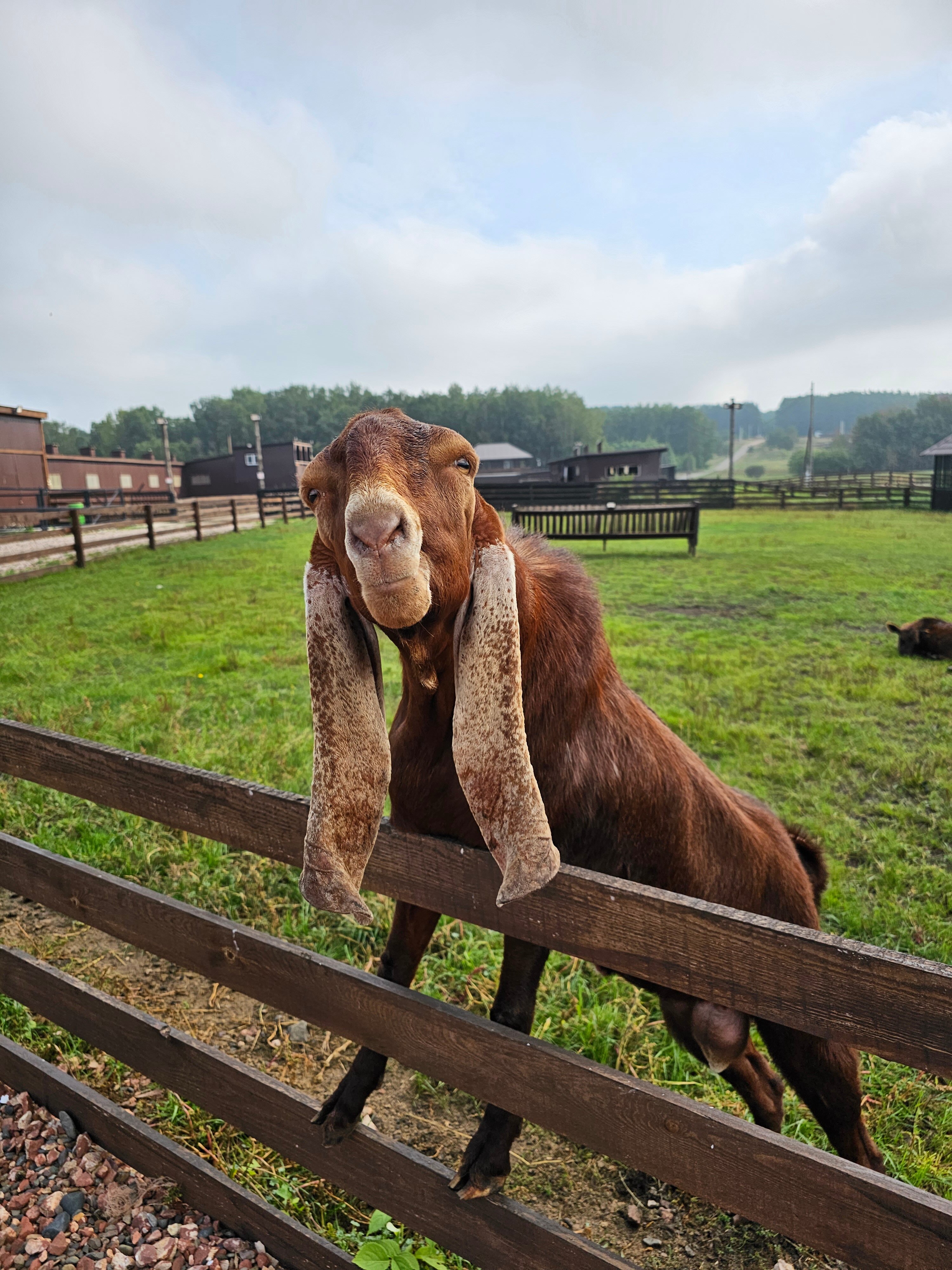 Фото Ранчо Шарье