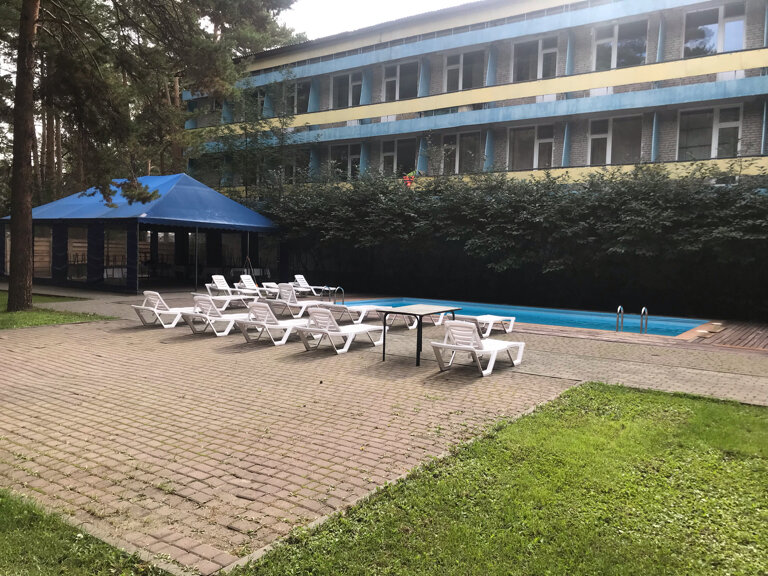 Фото Лесные дали