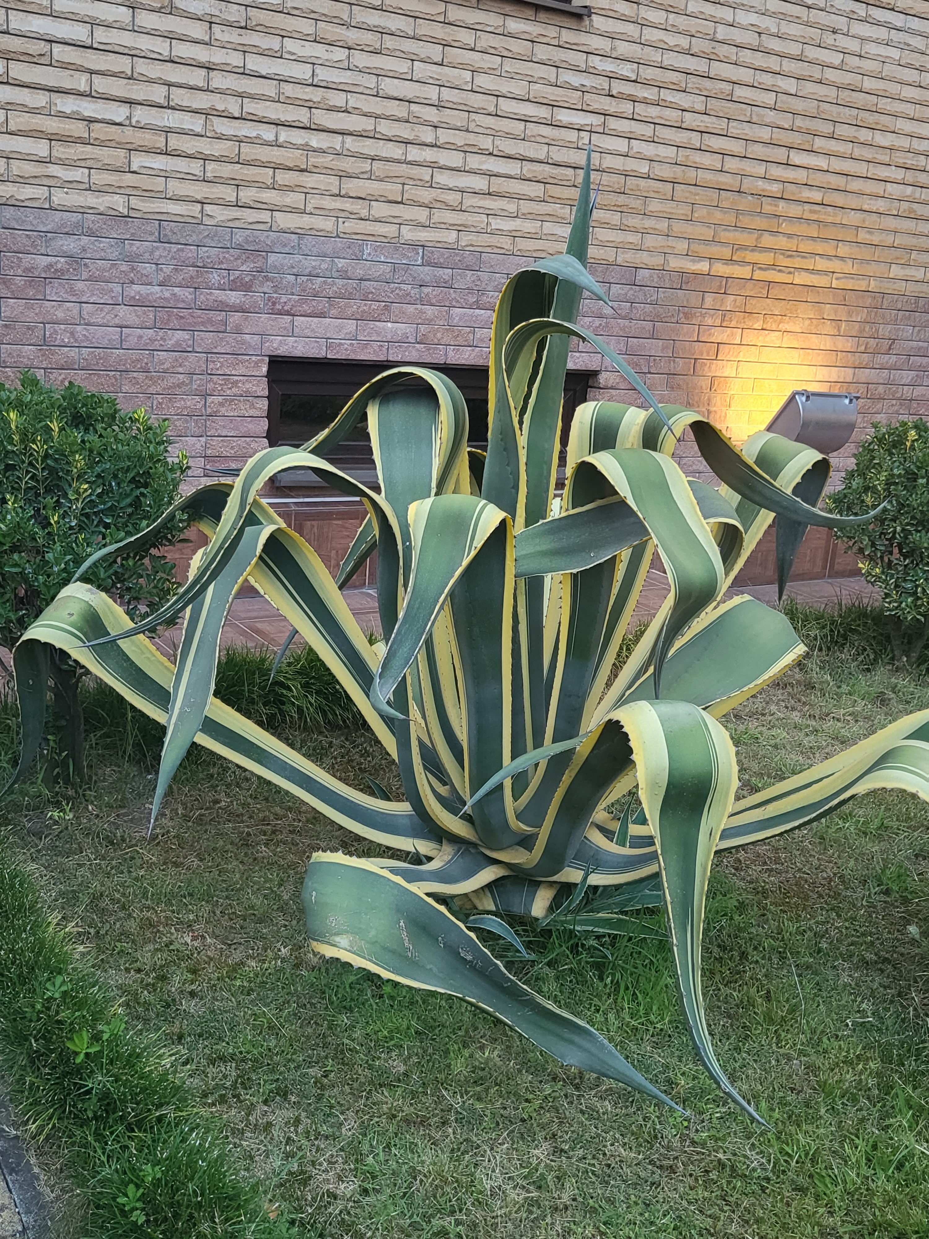 Фото Тихий Дон