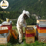 Honey express (Opytnoe pole aýyly, Molodejnaıa kóshesi, 28), miel y productos de apicultura