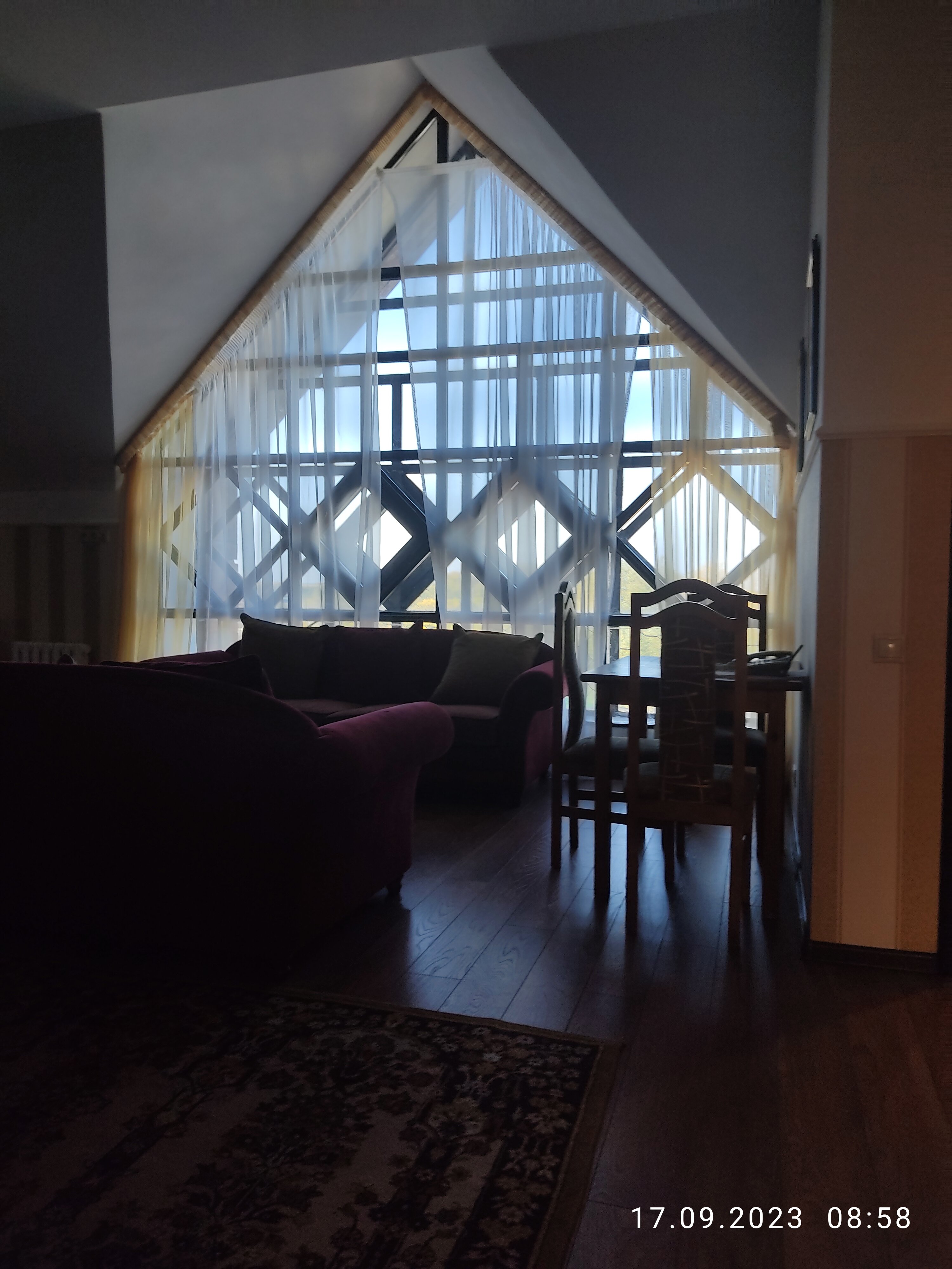 Фото Орхидея