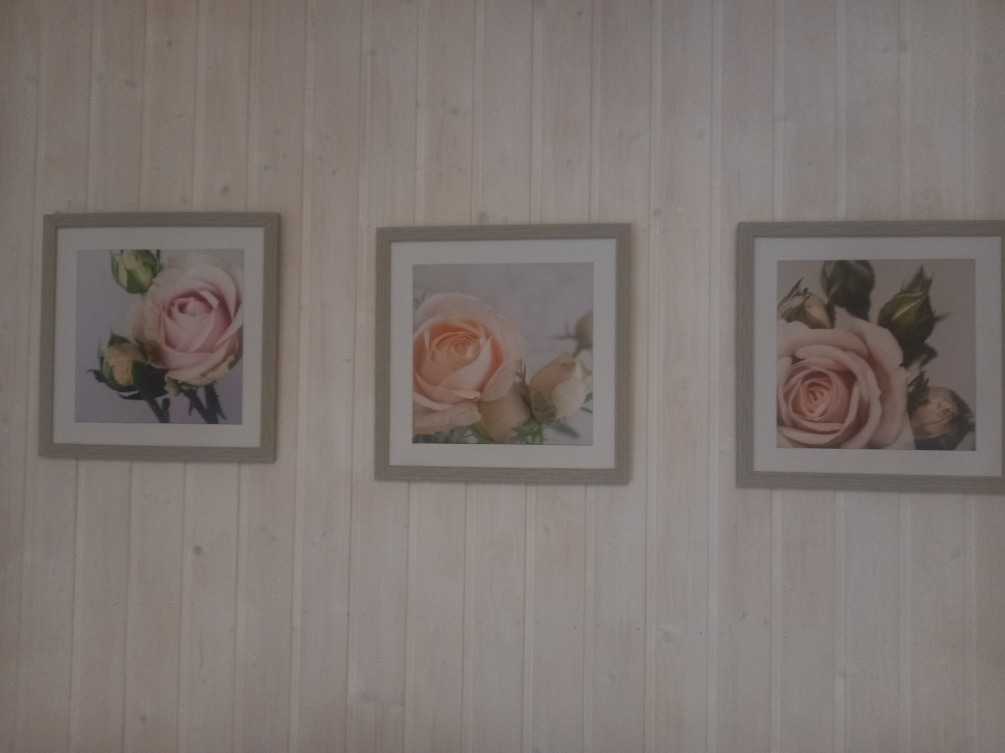 Фото Family Kodikas